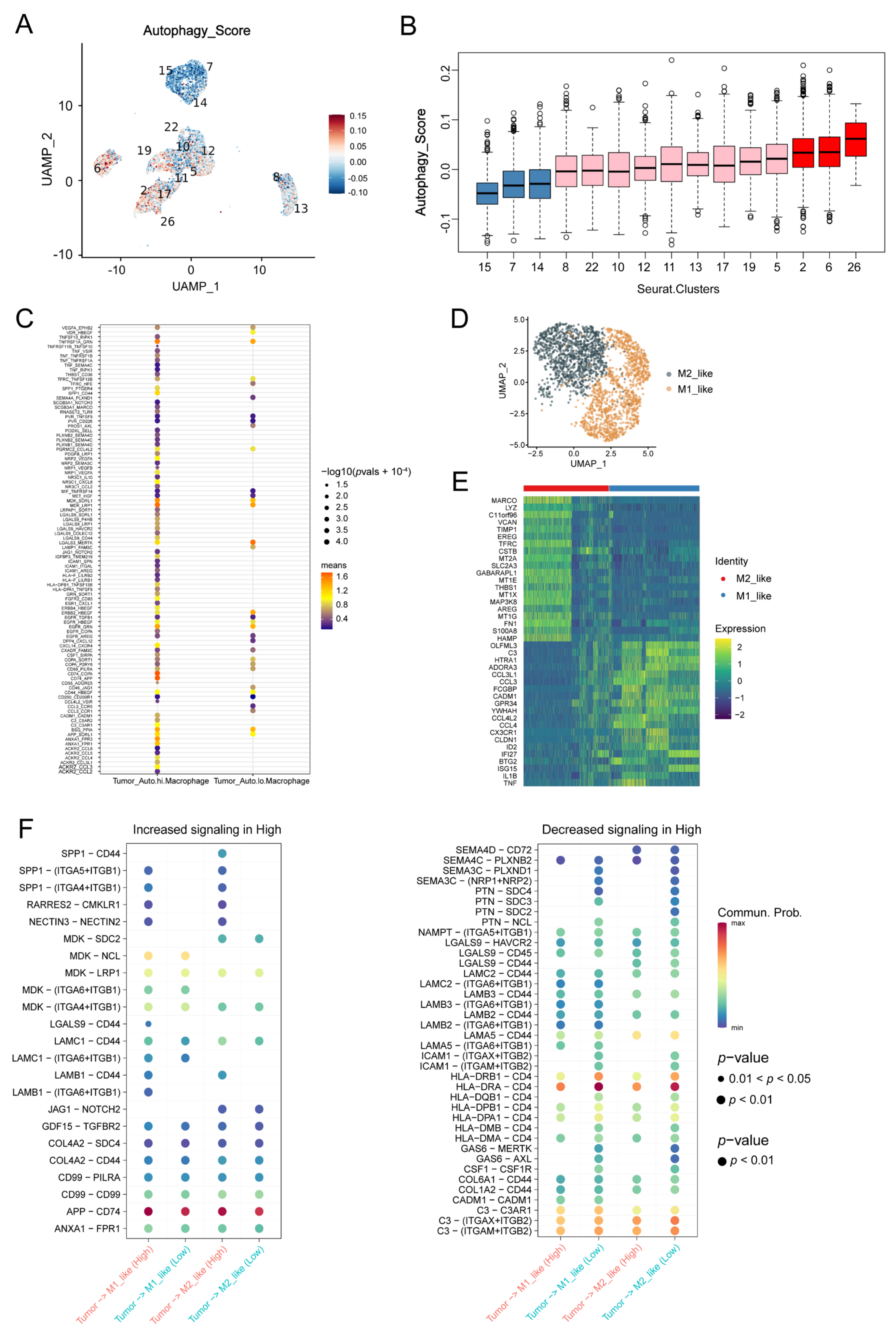 Biomolecules 13 00339 g004