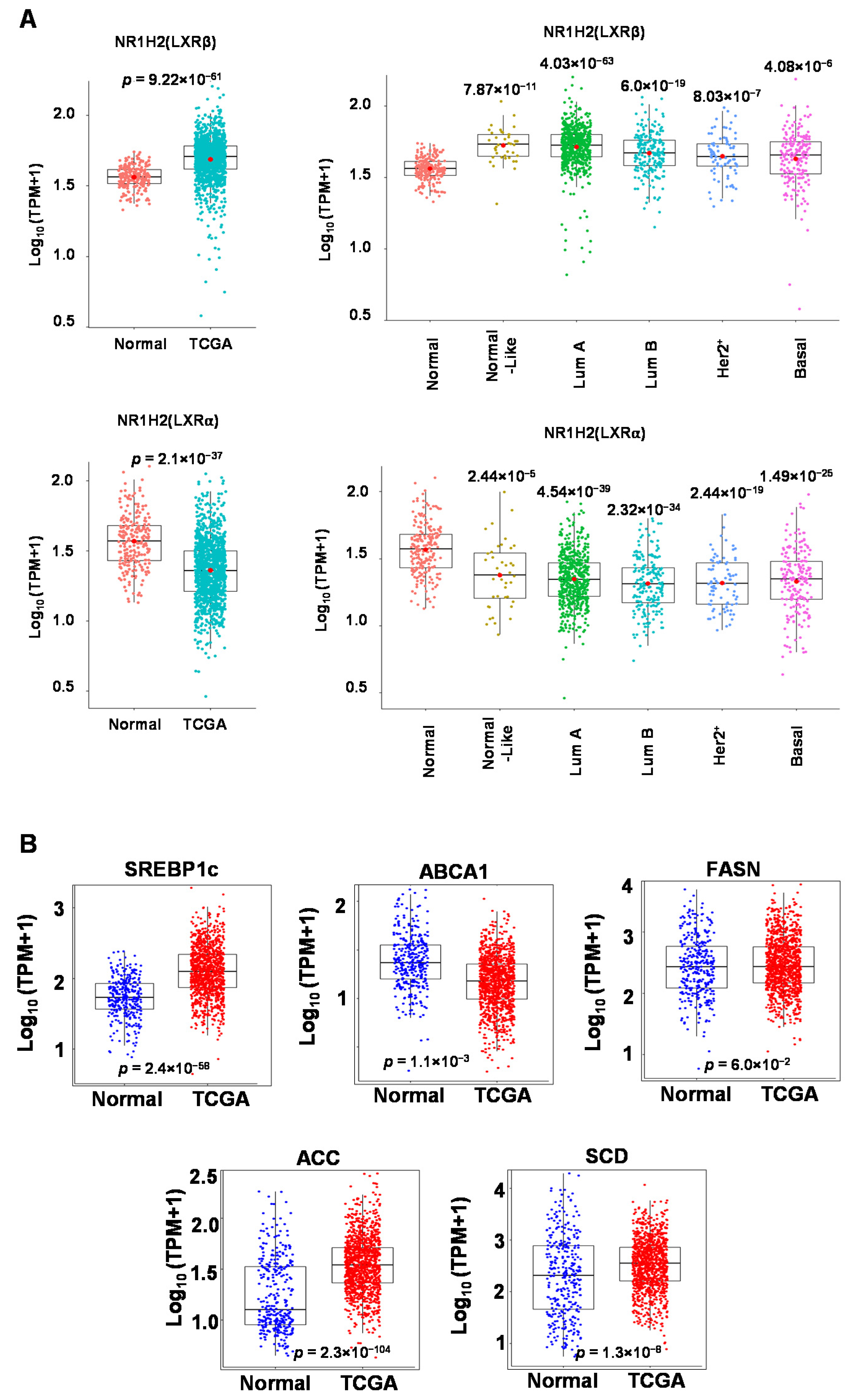 Biomolecules 13 00345 g001 Biomolecules 13 00345 g001