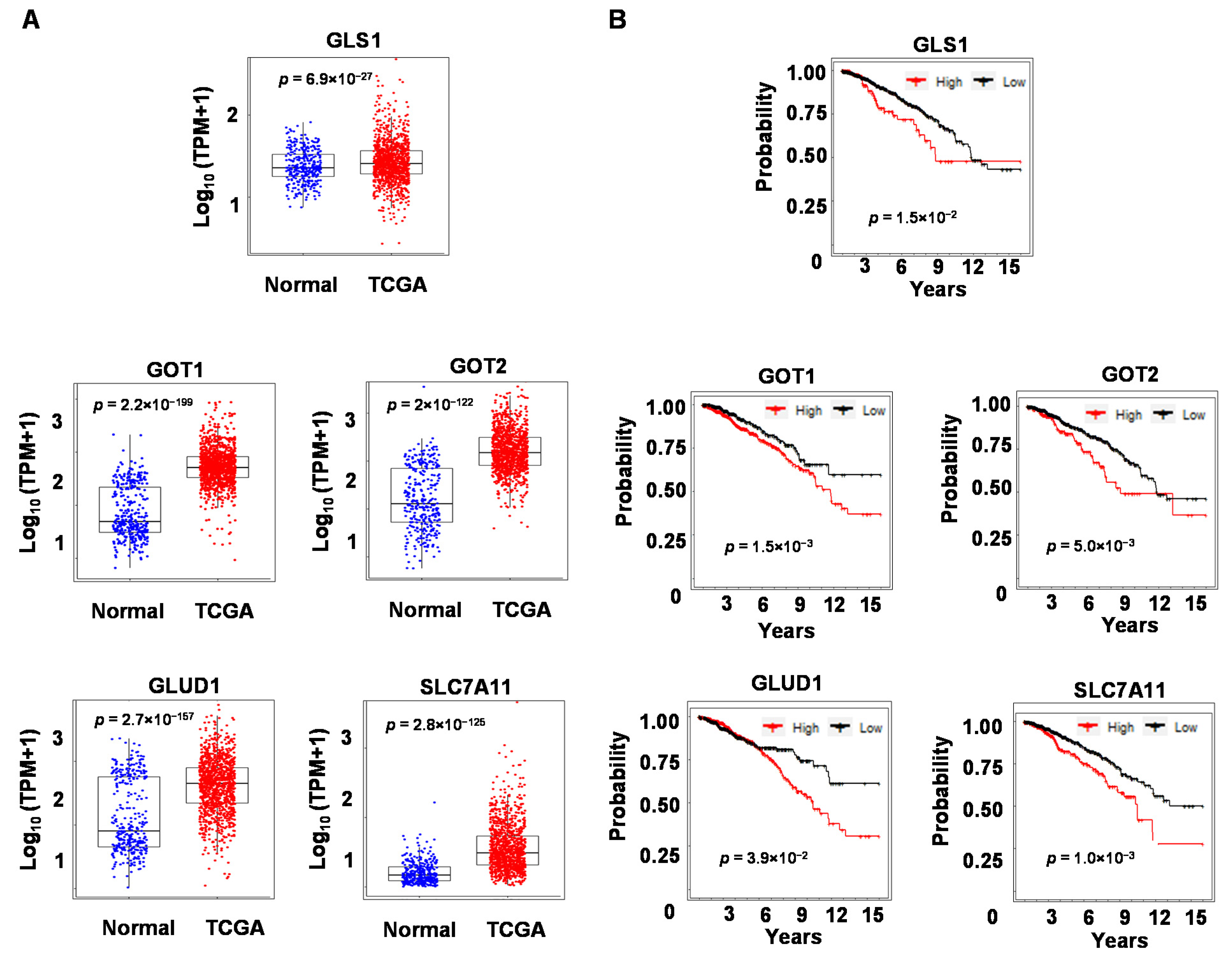 Biomolecules 13 00345 g006 Biomolecules 13 00345 g006