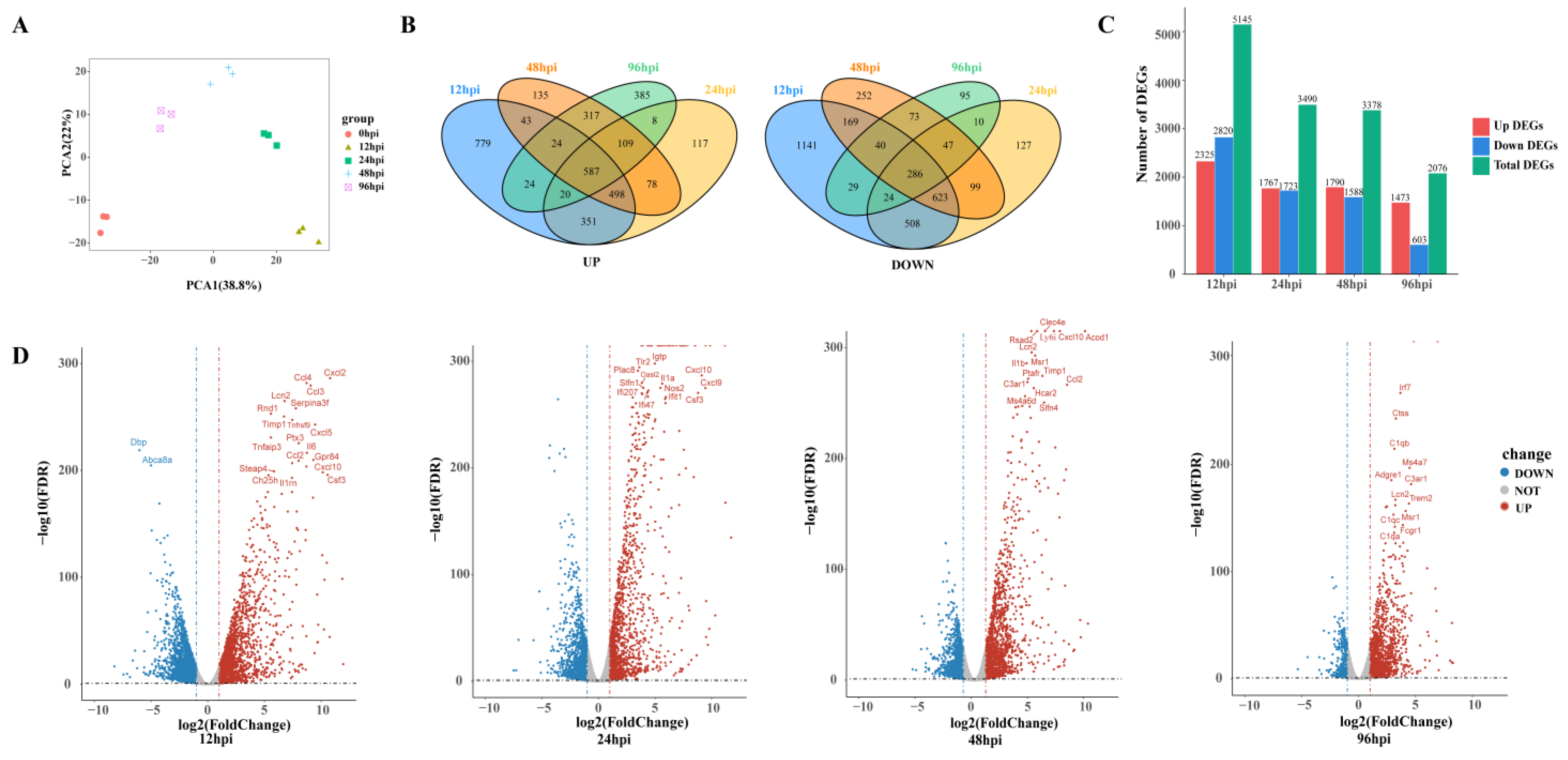 Biomolecules 13 00347 g002 Biomolecules 13 00347 g002