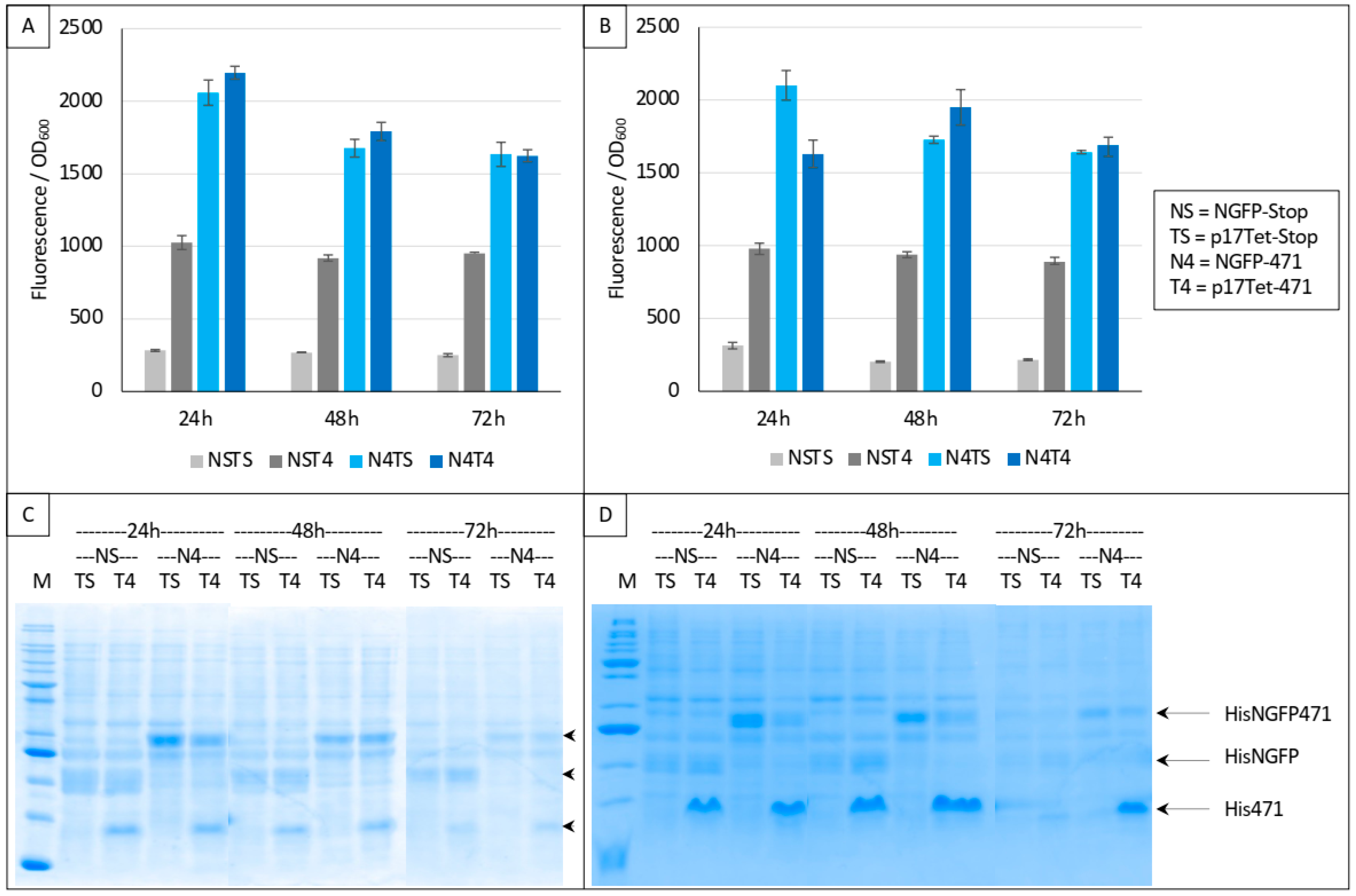 Biomolecules 13 00354 g004 Biomolecules 13 00354 g004