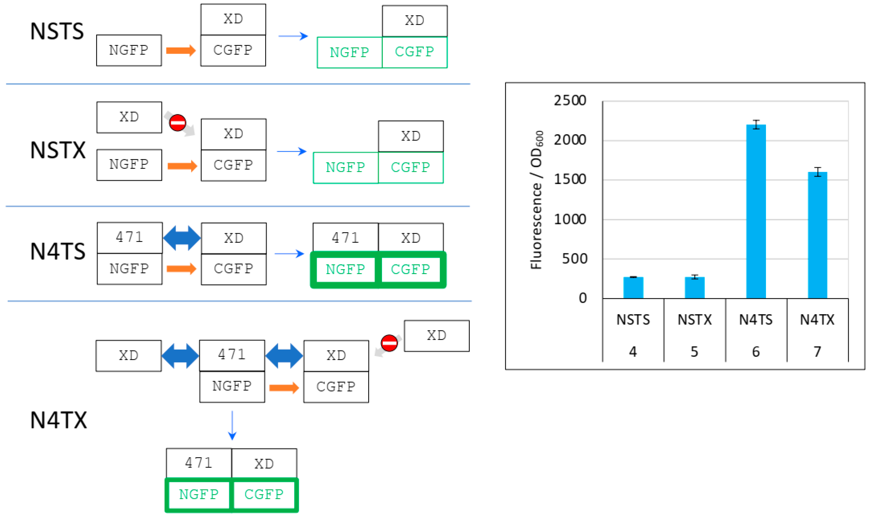 Biomolecules 13 00354 g008 Biomolecules 13 00354 g008