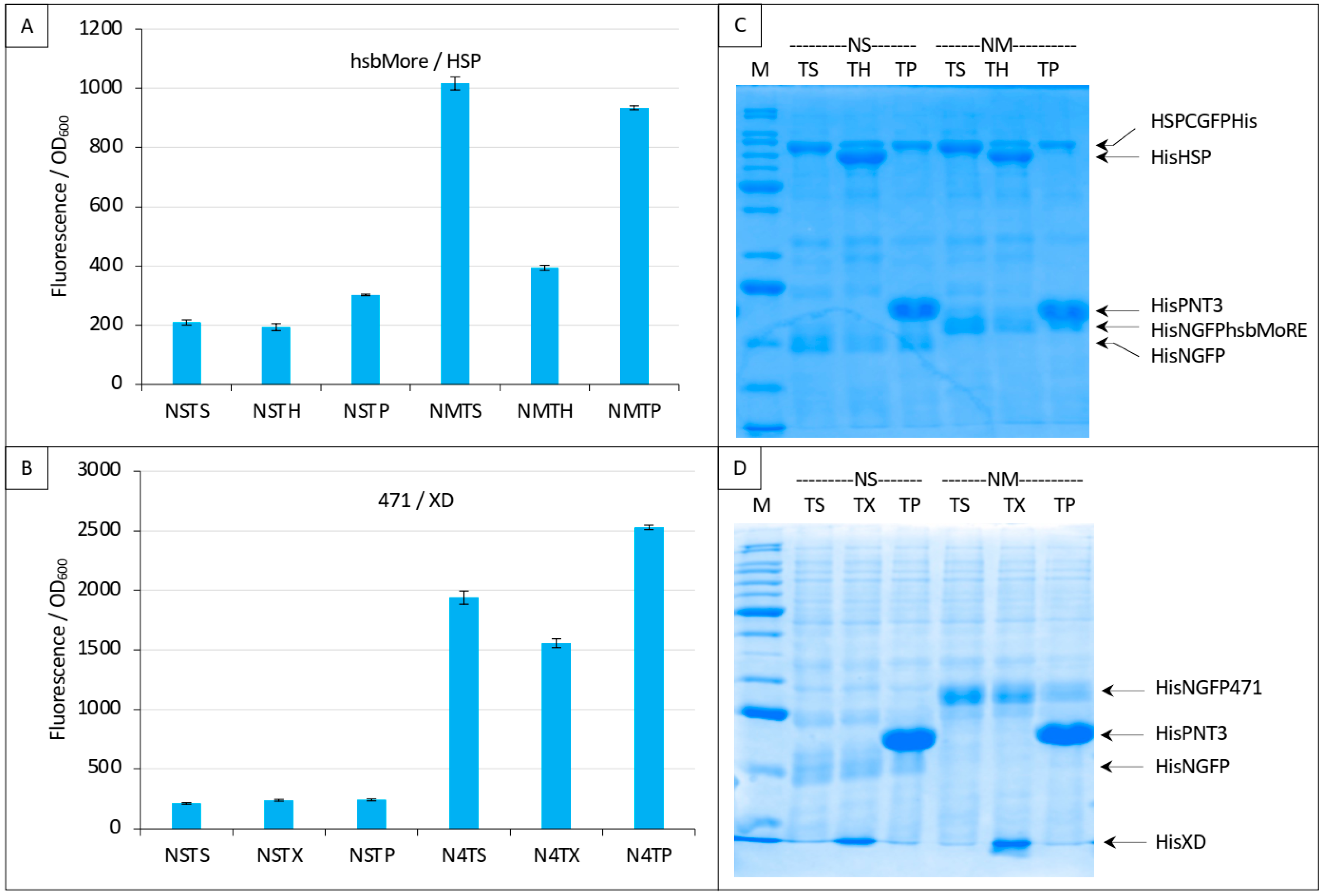 Biomolecules 13 00354 g012 Biomolecules 13 00354 g012
