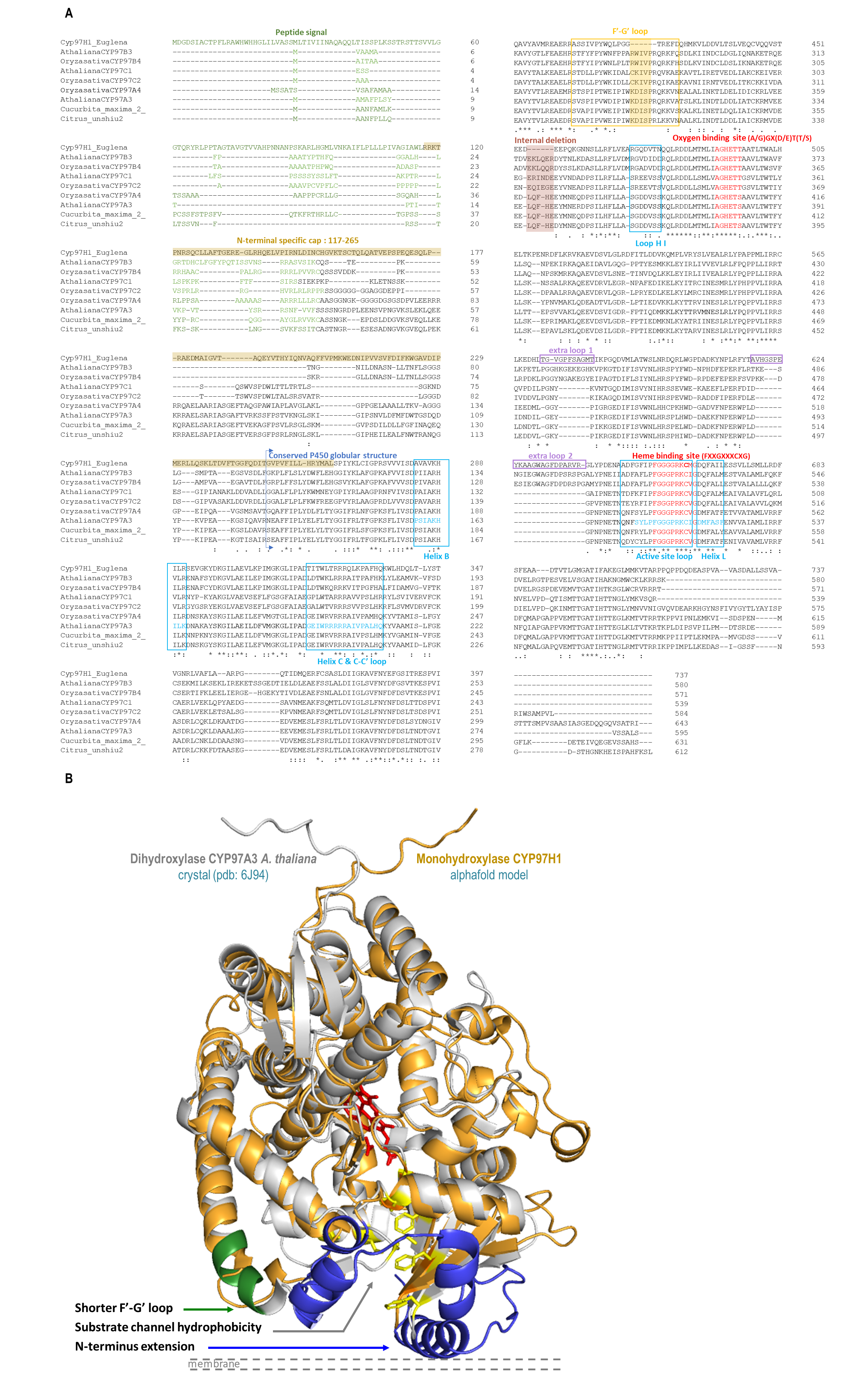 Biomolecules 13 00366 g002 Biomolecules 13 00366 g002