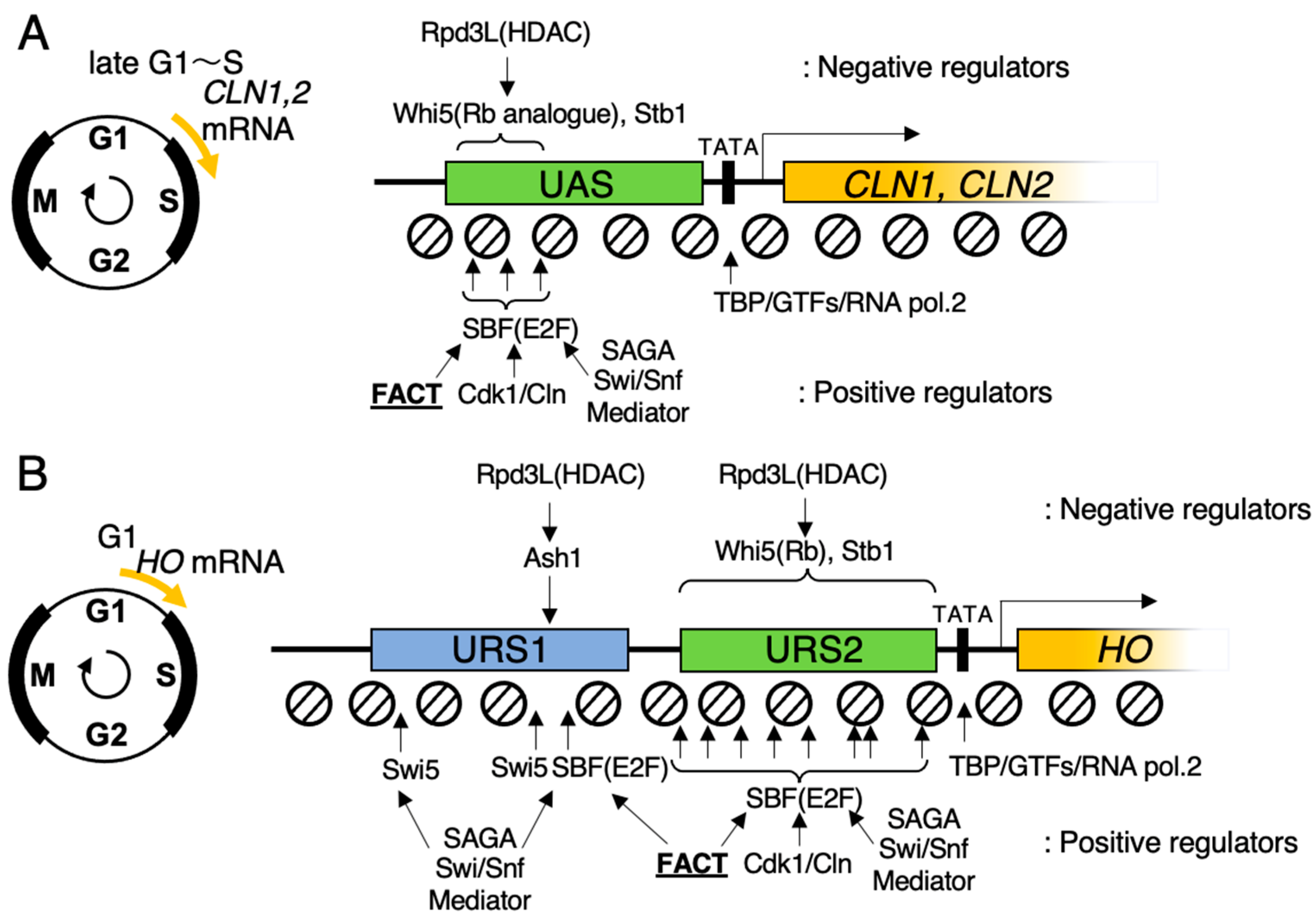 Biomolecules 13 00377 g003