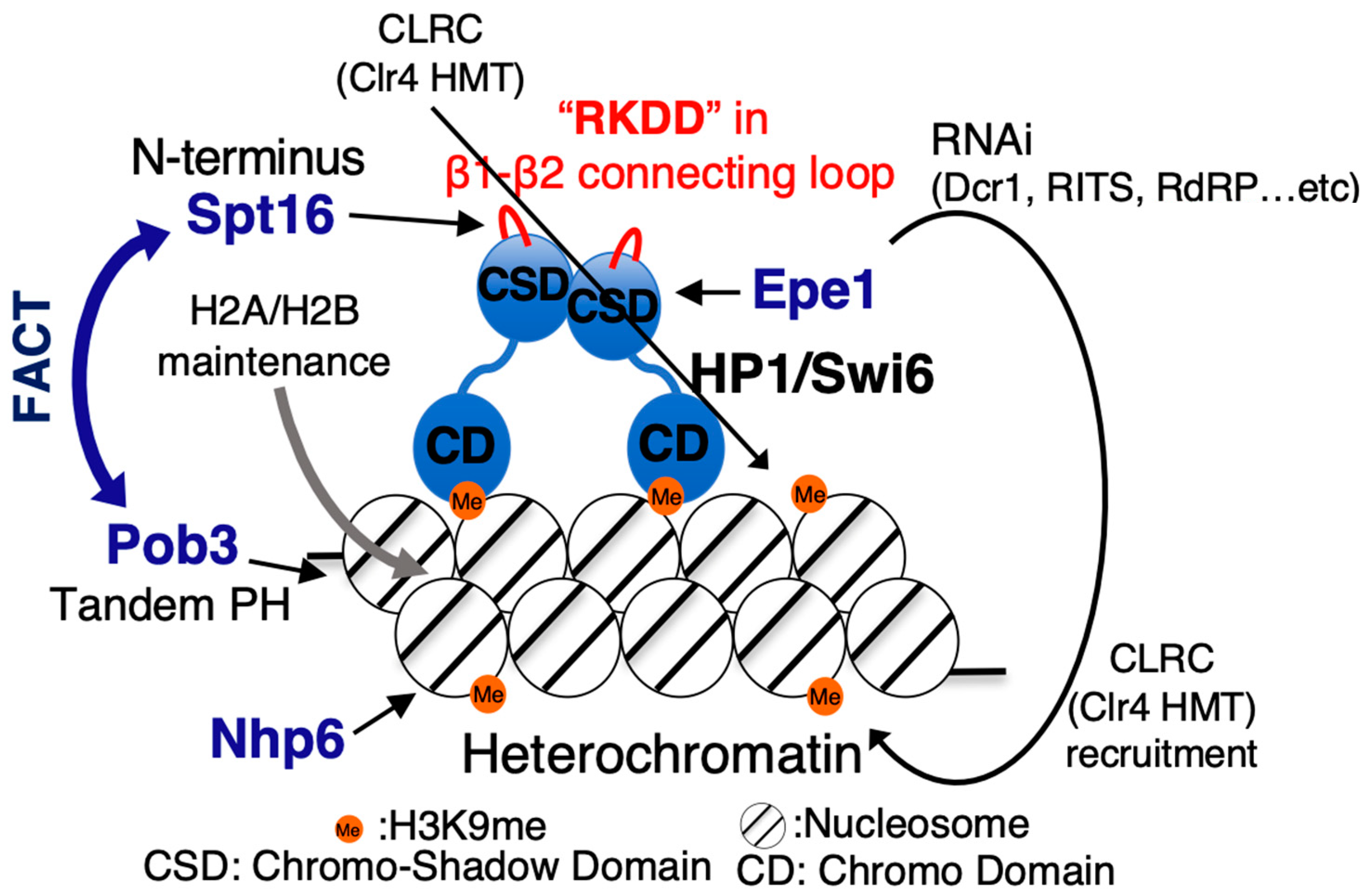 Biomolecules 13 00377 g005