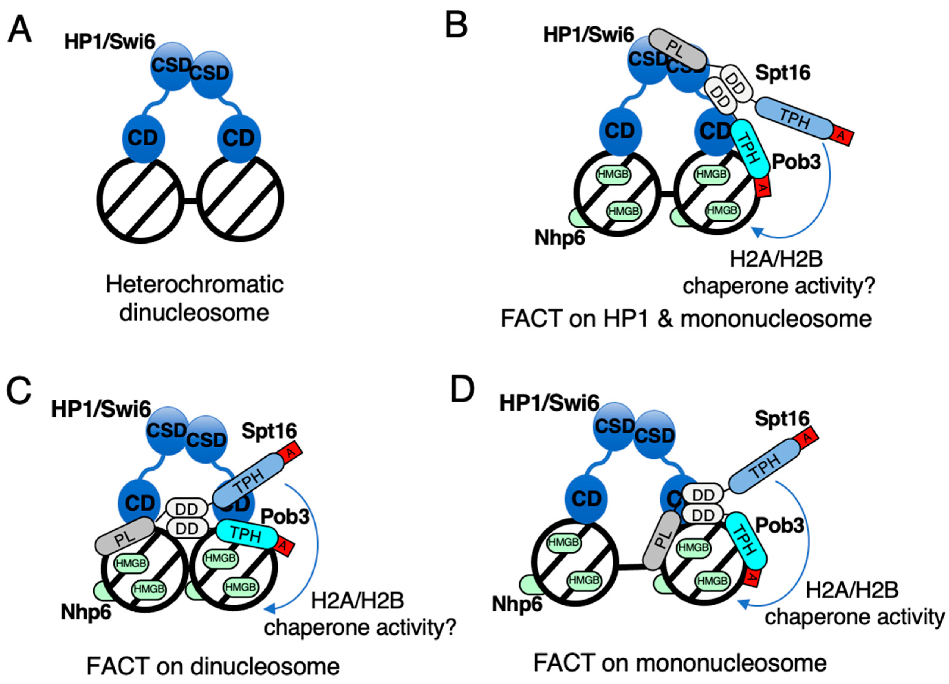 Biomolecules 13 00377 g006