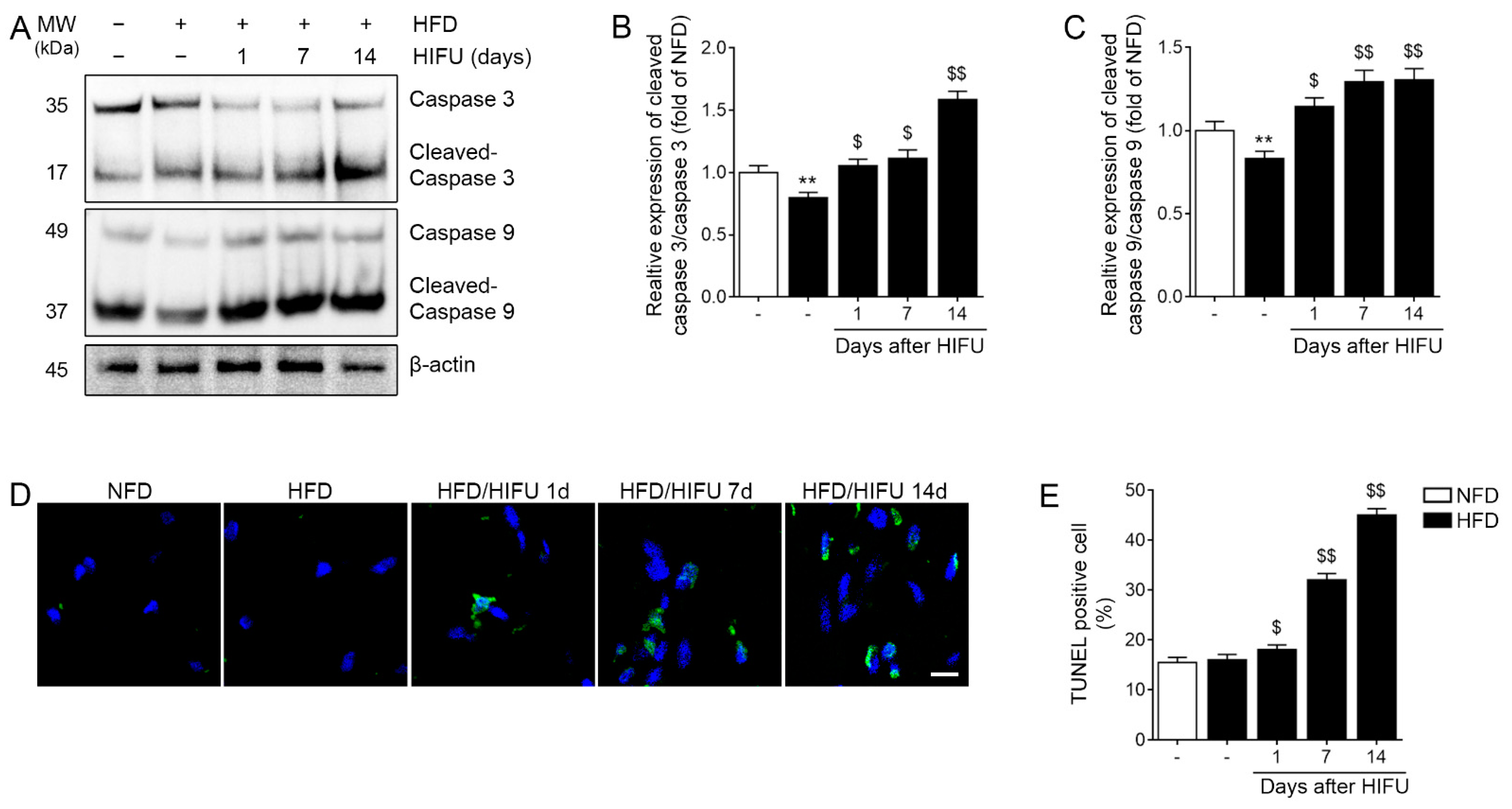 Biomolecules 13 00392 g004 Biomolecules 13 00392 g004