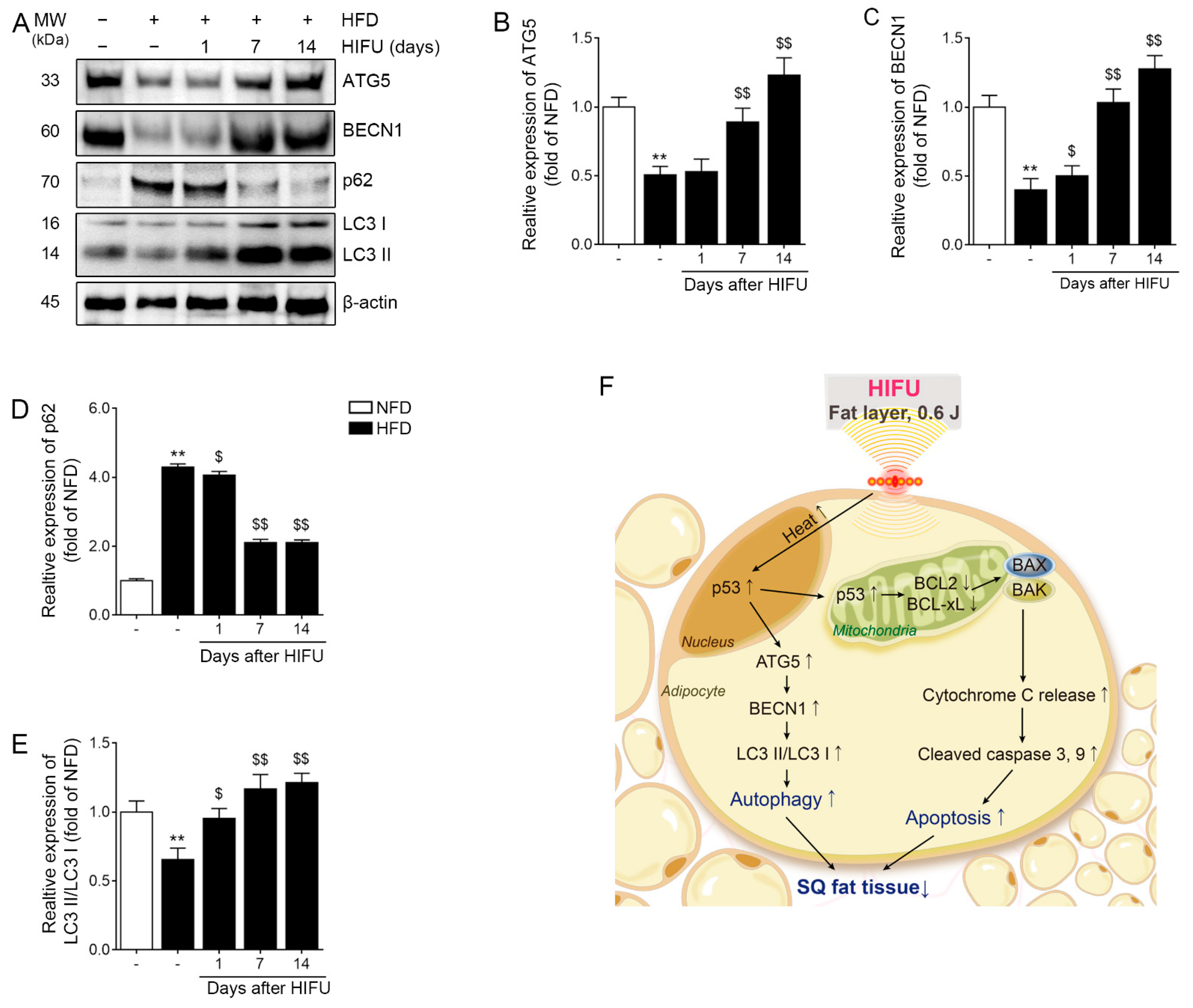 Biomolecules 13 00392 g005 Biomolecules 13 00392 g005
