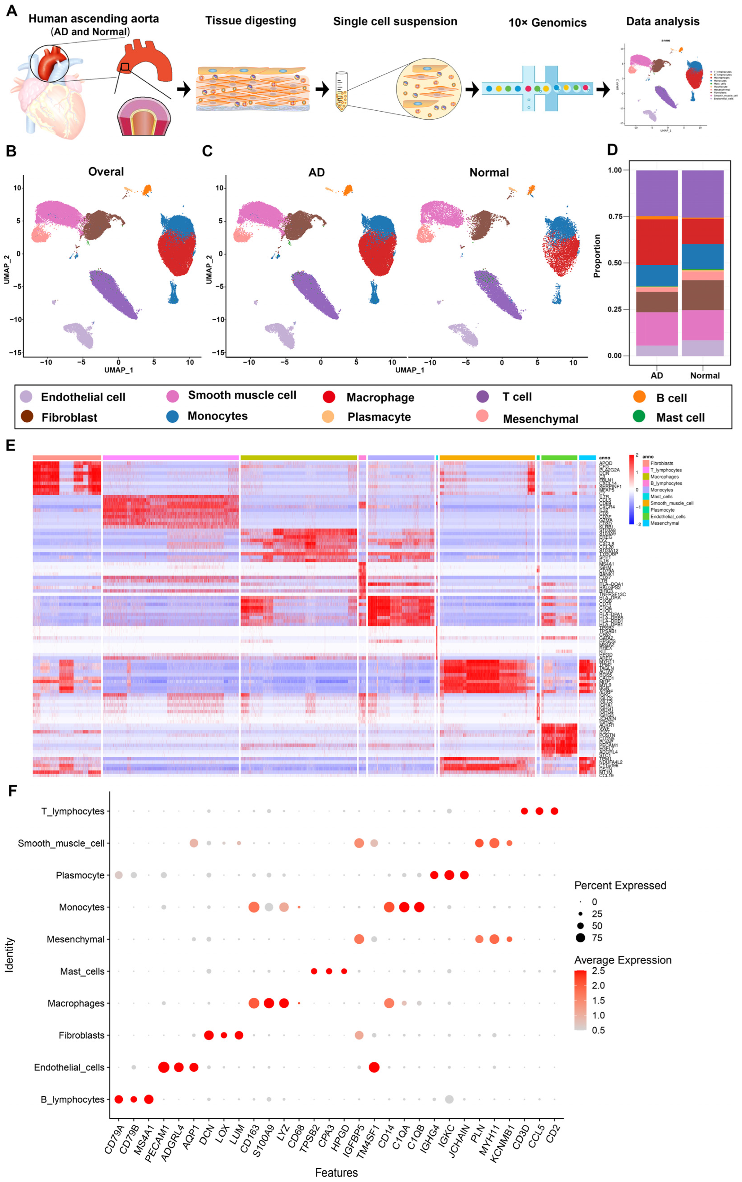 Biomolecules 13 00399 g001 Biomolecules 13 00399 g001