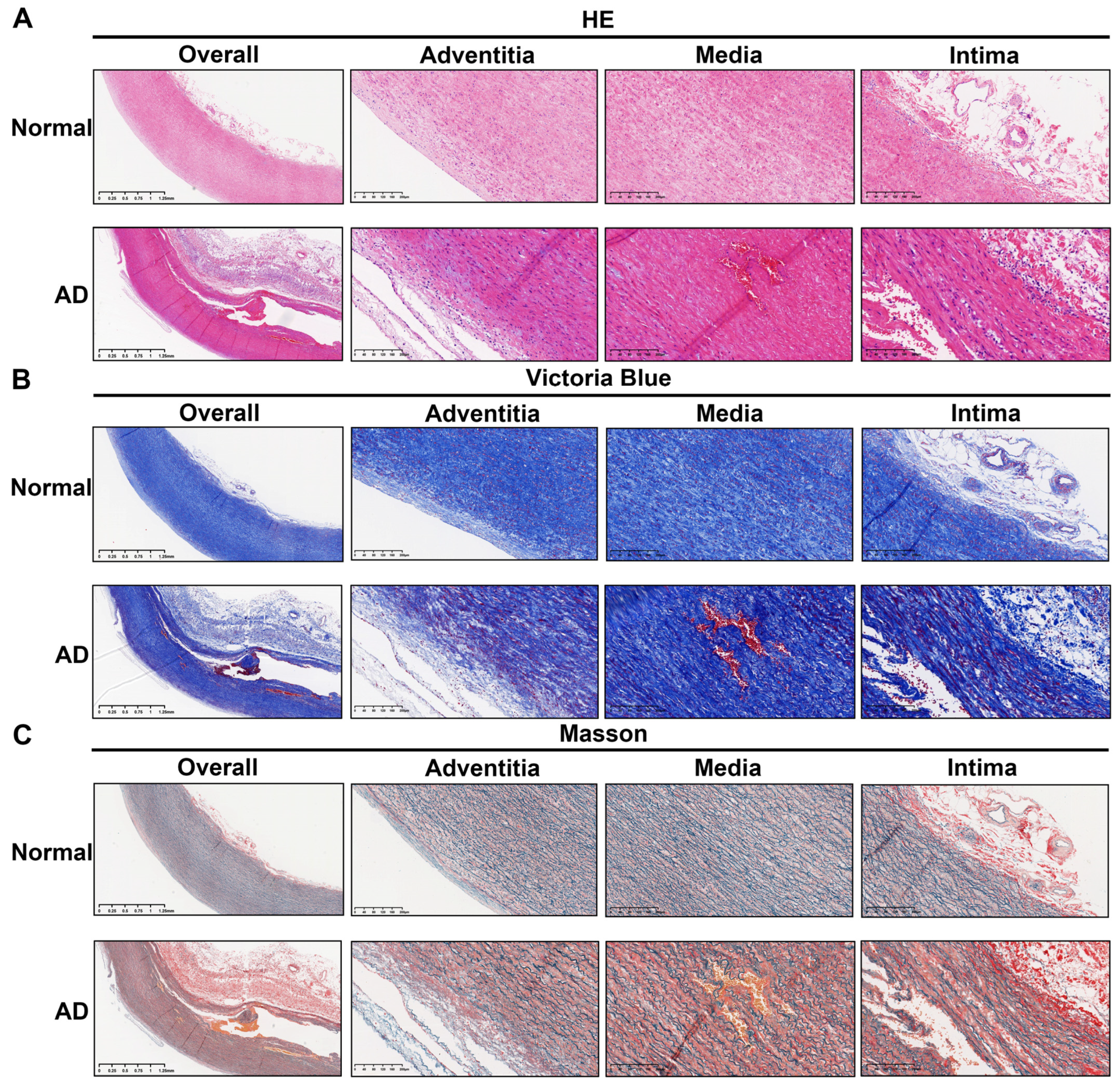 Biomolecules 13 00399 g006 Biomolecules 13 00399 g006