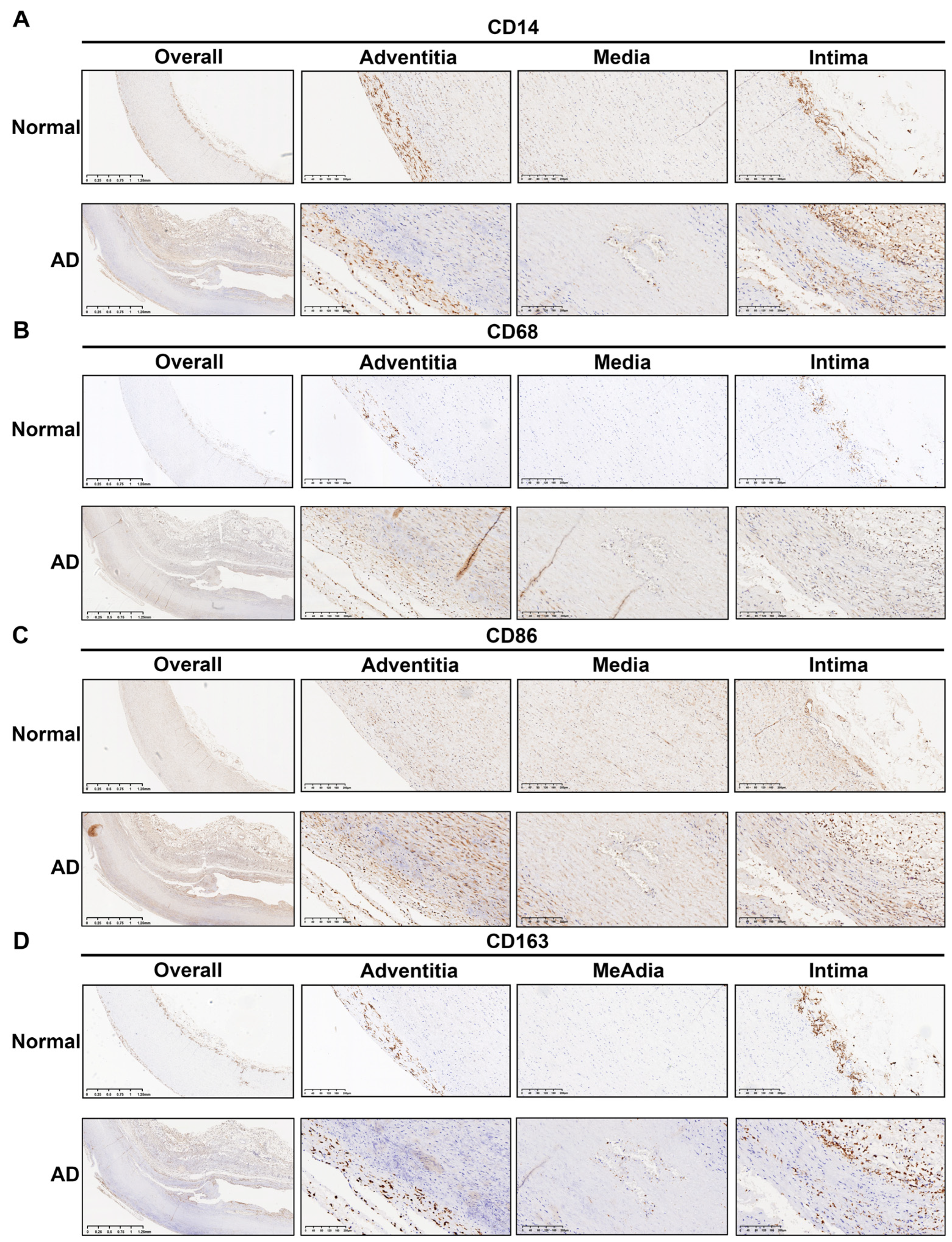 Biomolecules 13 00399 g007 Biomolecules 13 00399 g007