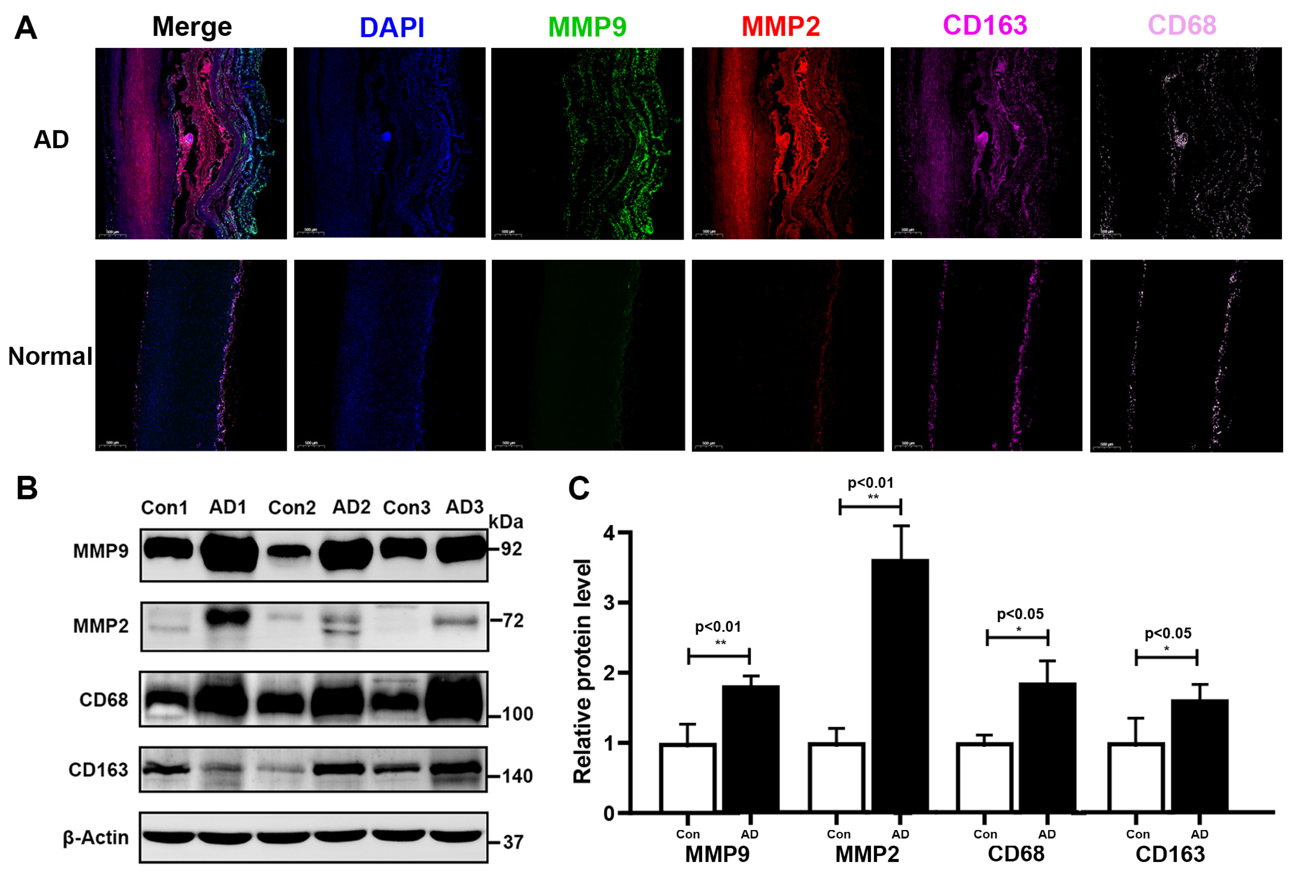 Biomolecules 13 00399 g008 Biomolecules 13 00399 g008