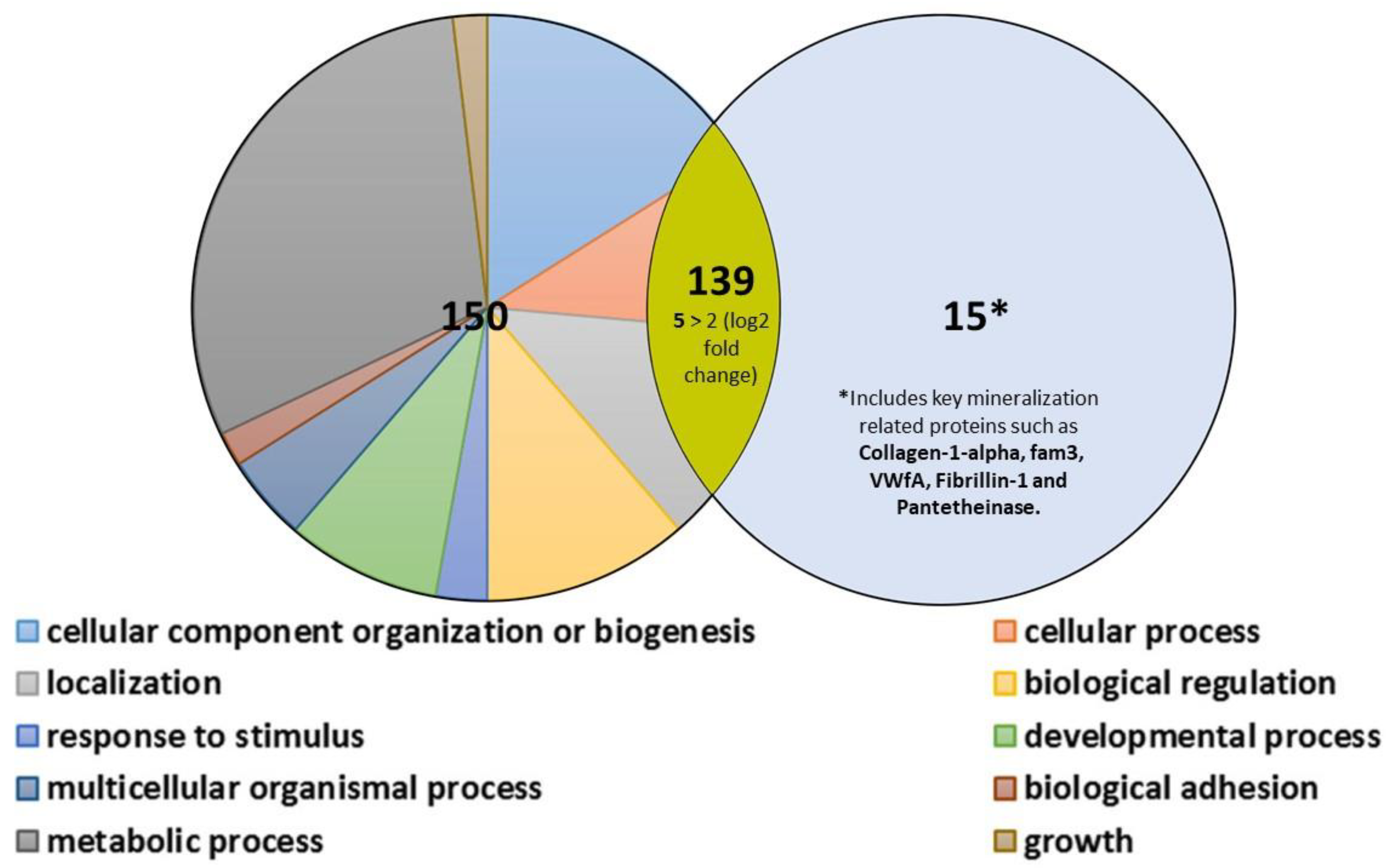 Biomolecules 13 00412 g006 Biomolecules 13 00412 g006