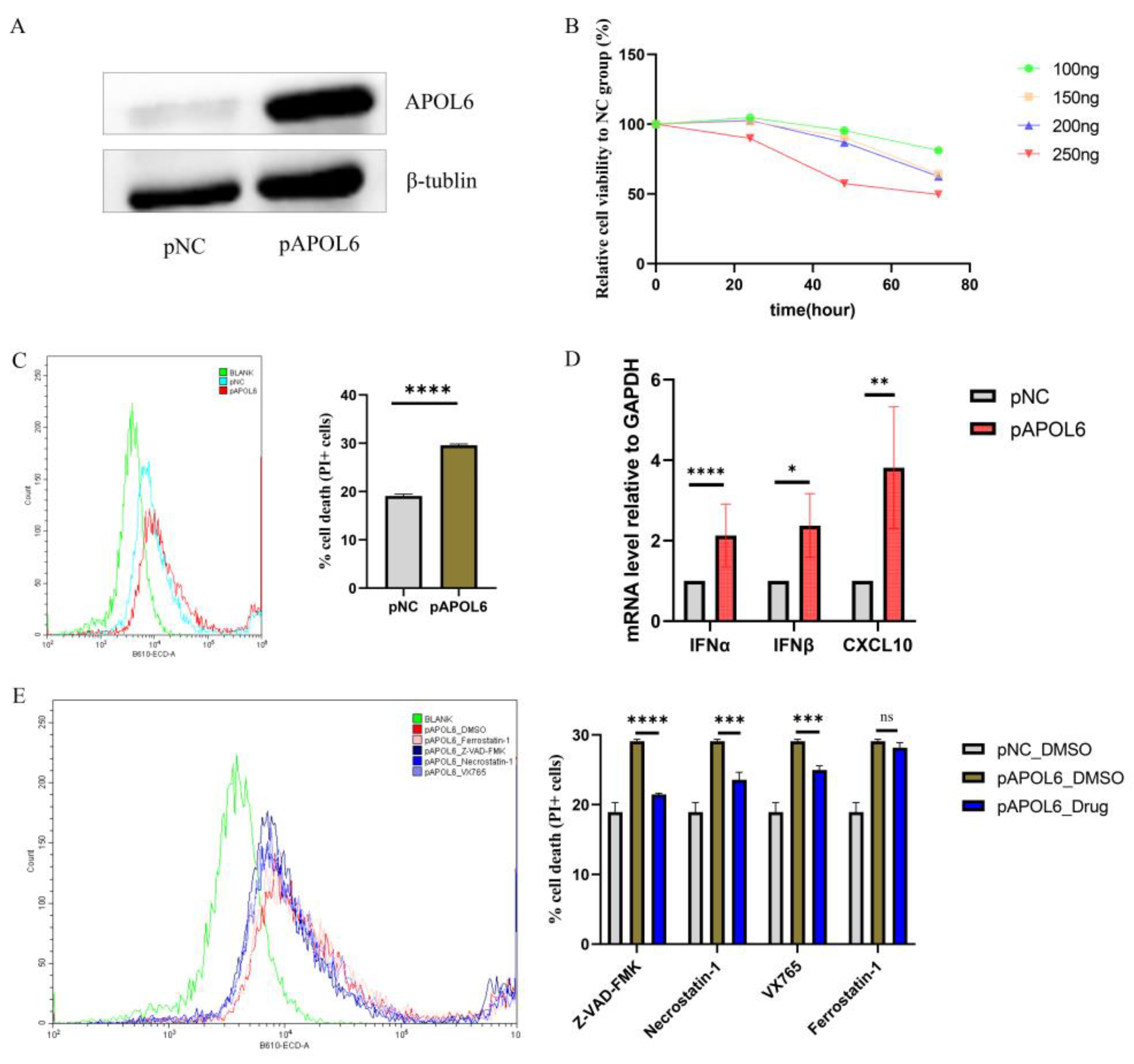 Biomolecules 13 00415 g005 Biomolecules 13 00415 g005
