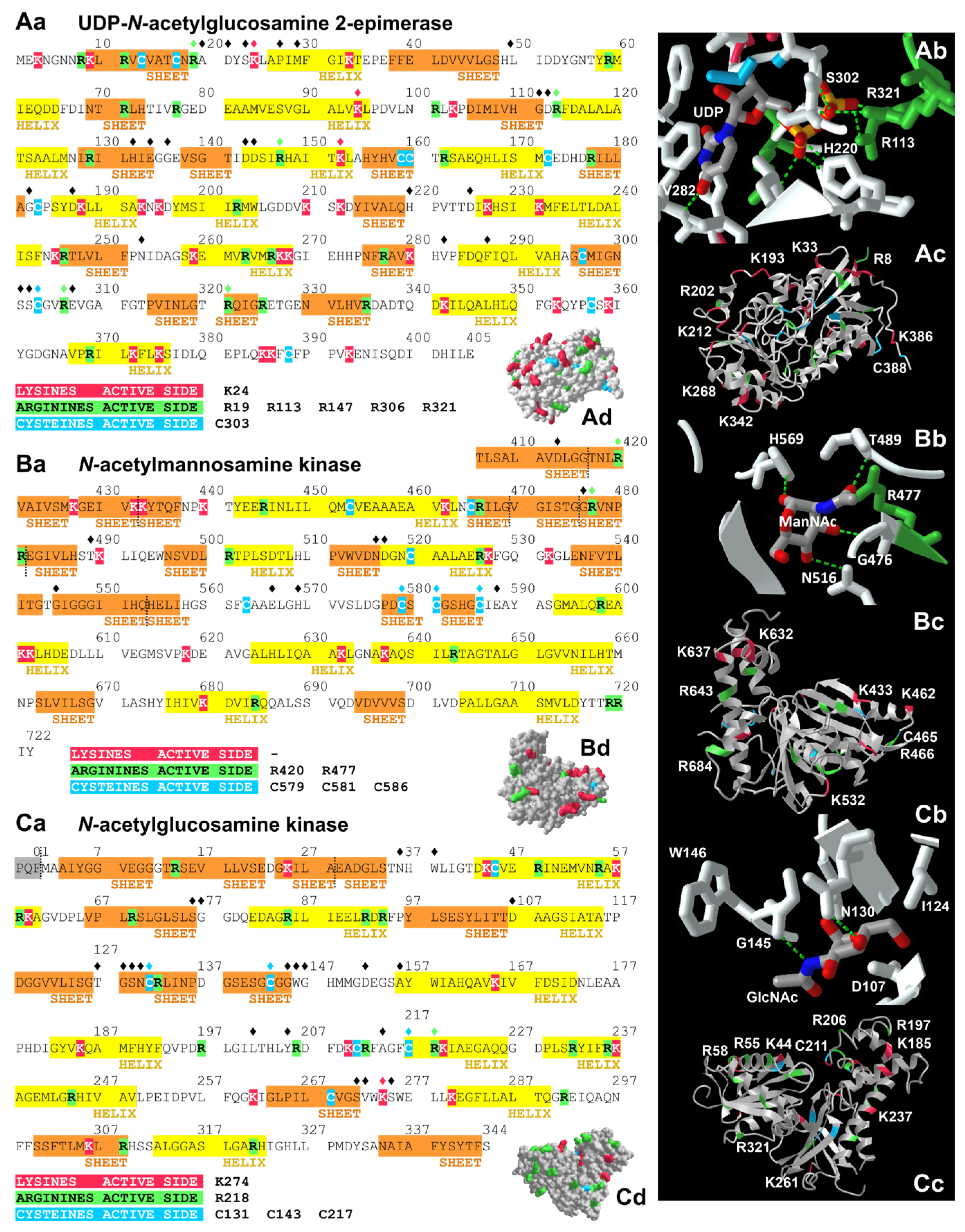 Biomolecules 13 00422 g002