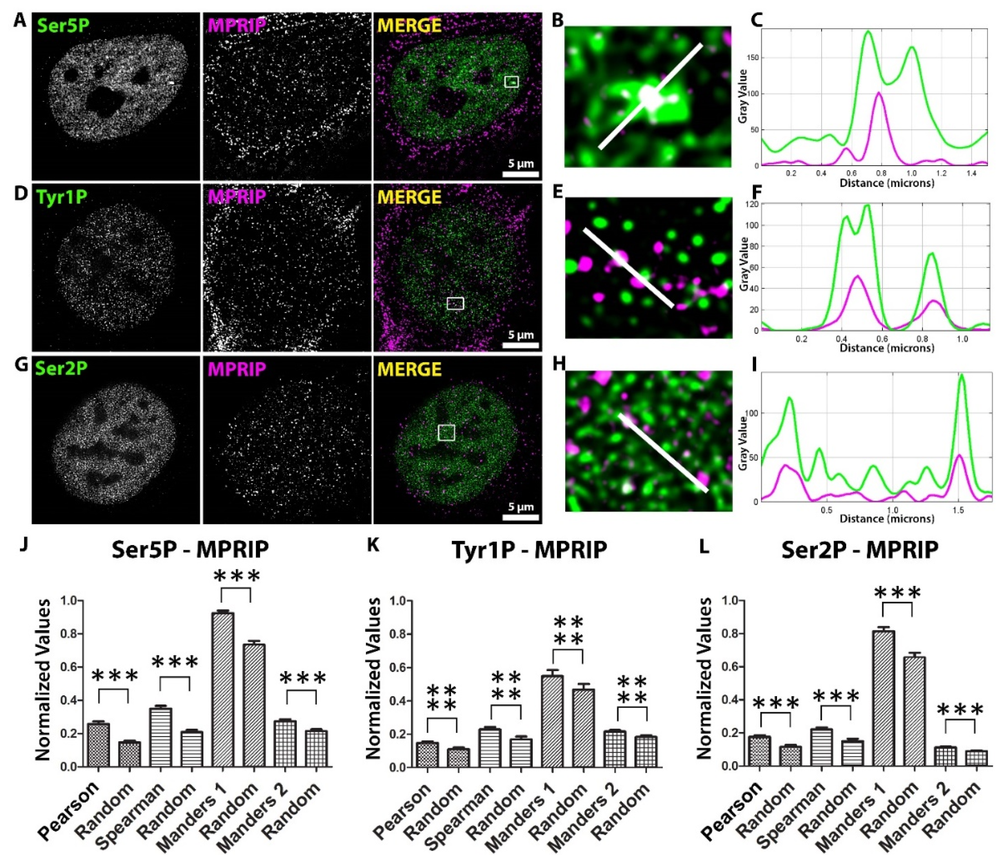 Biomolecules 13 00426 g001 Biomolecules 13 00426 g001