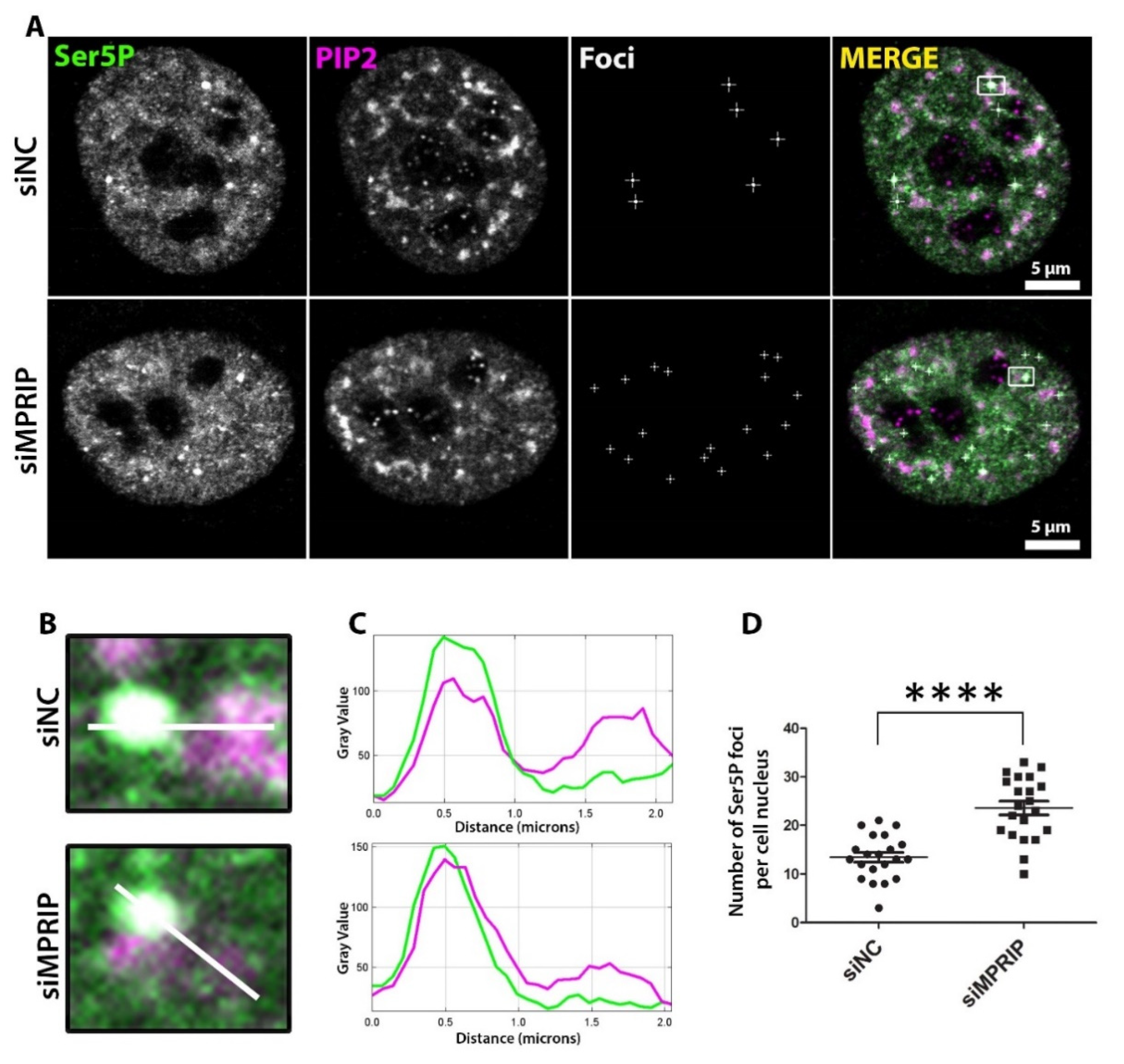 Biomolecules 13 00426 g003 Biomolecules 13 00426 g003