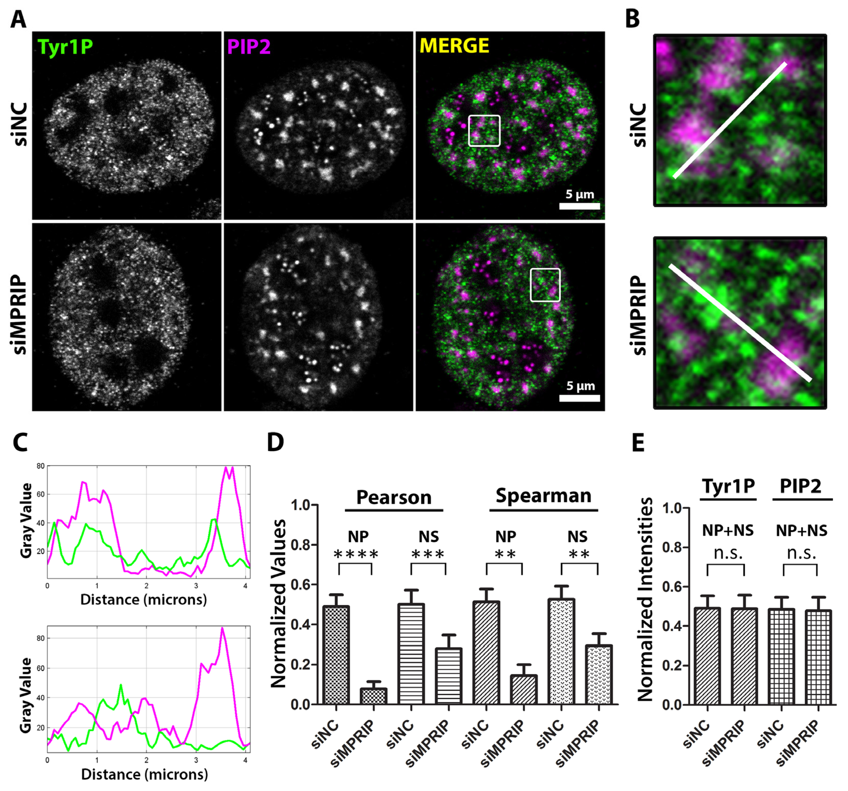 Biomolecules 13 00426 g005 Biomolecules 13 00426 g005