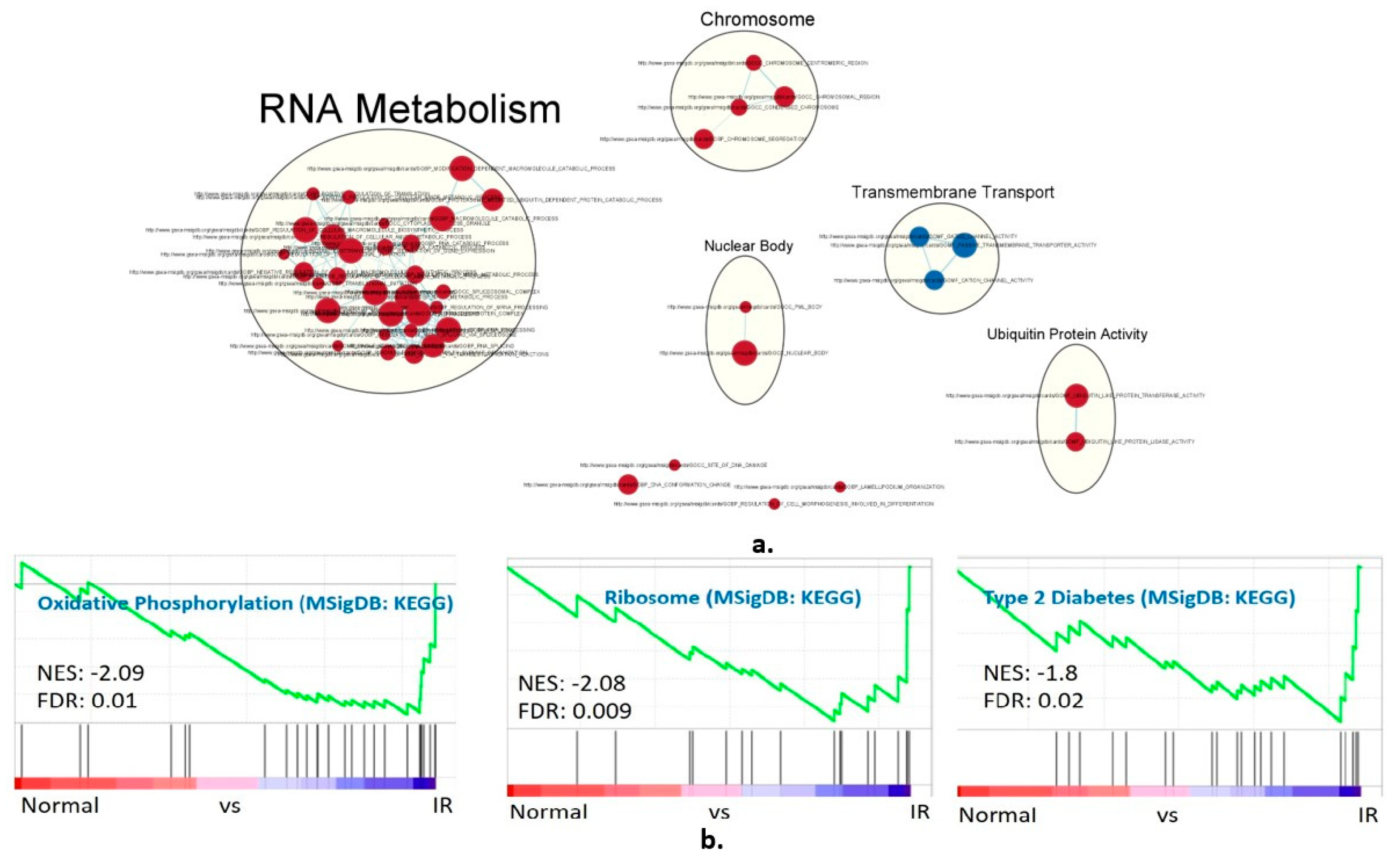 Biomolecules 13 00432 g001 Biomolecules 13 00432 g001