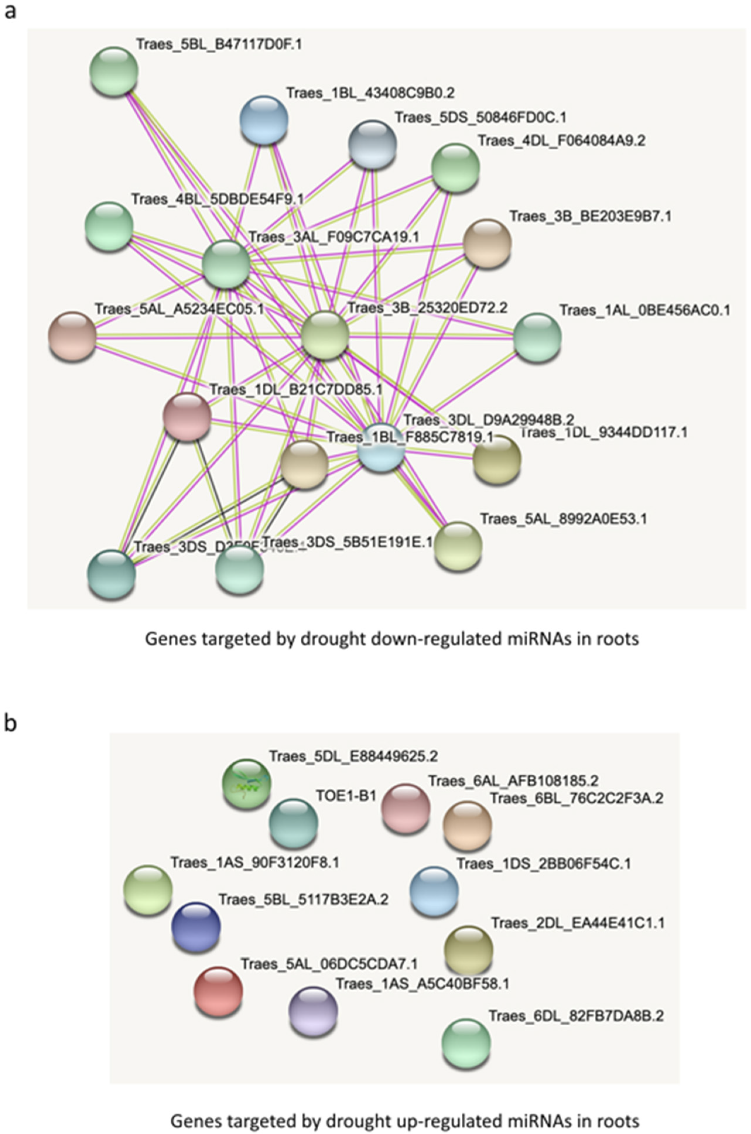 Biomolecules 13 00440 g007