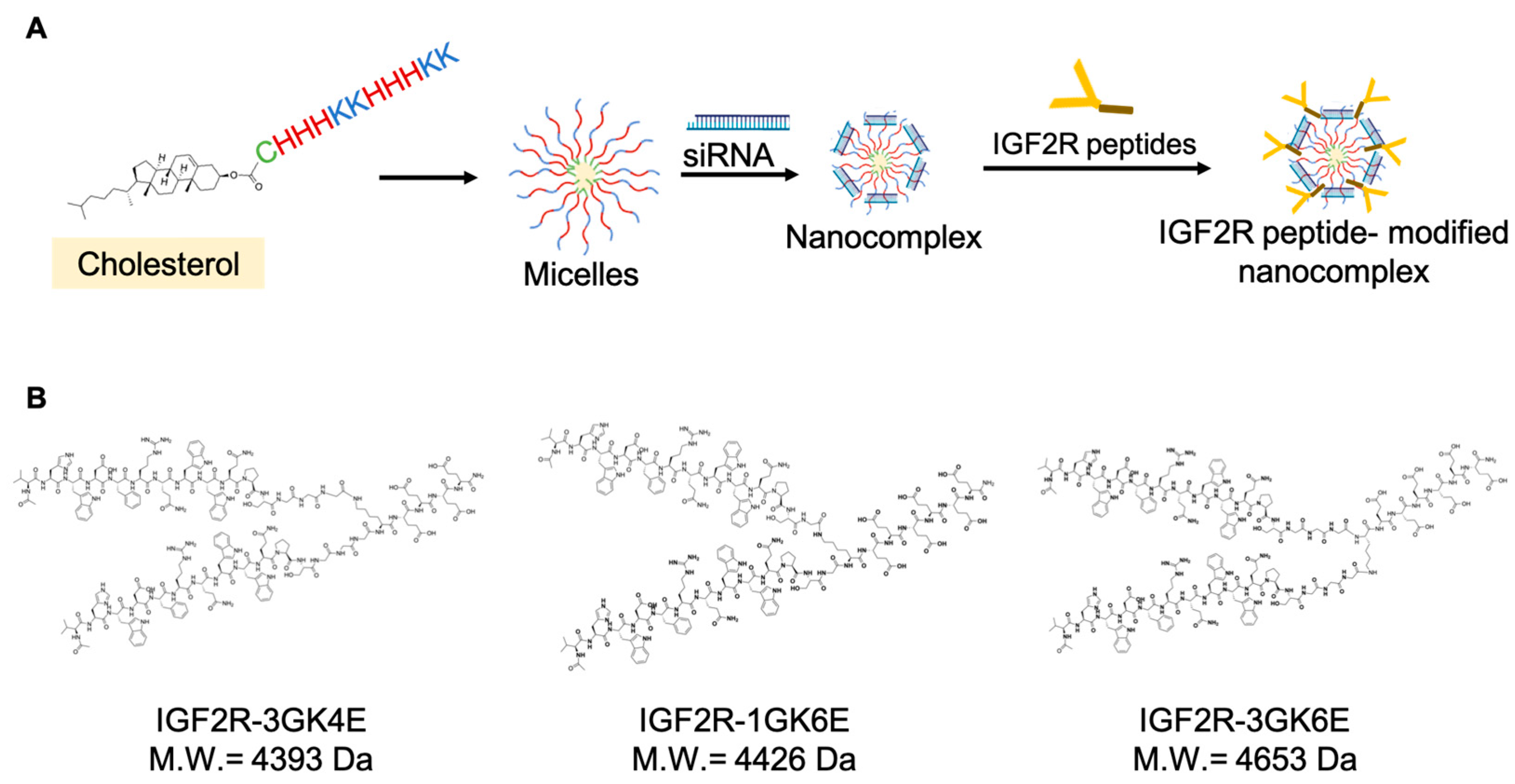 Biomolecules 13 00448 g001 Biomolecules 13 00448 g001