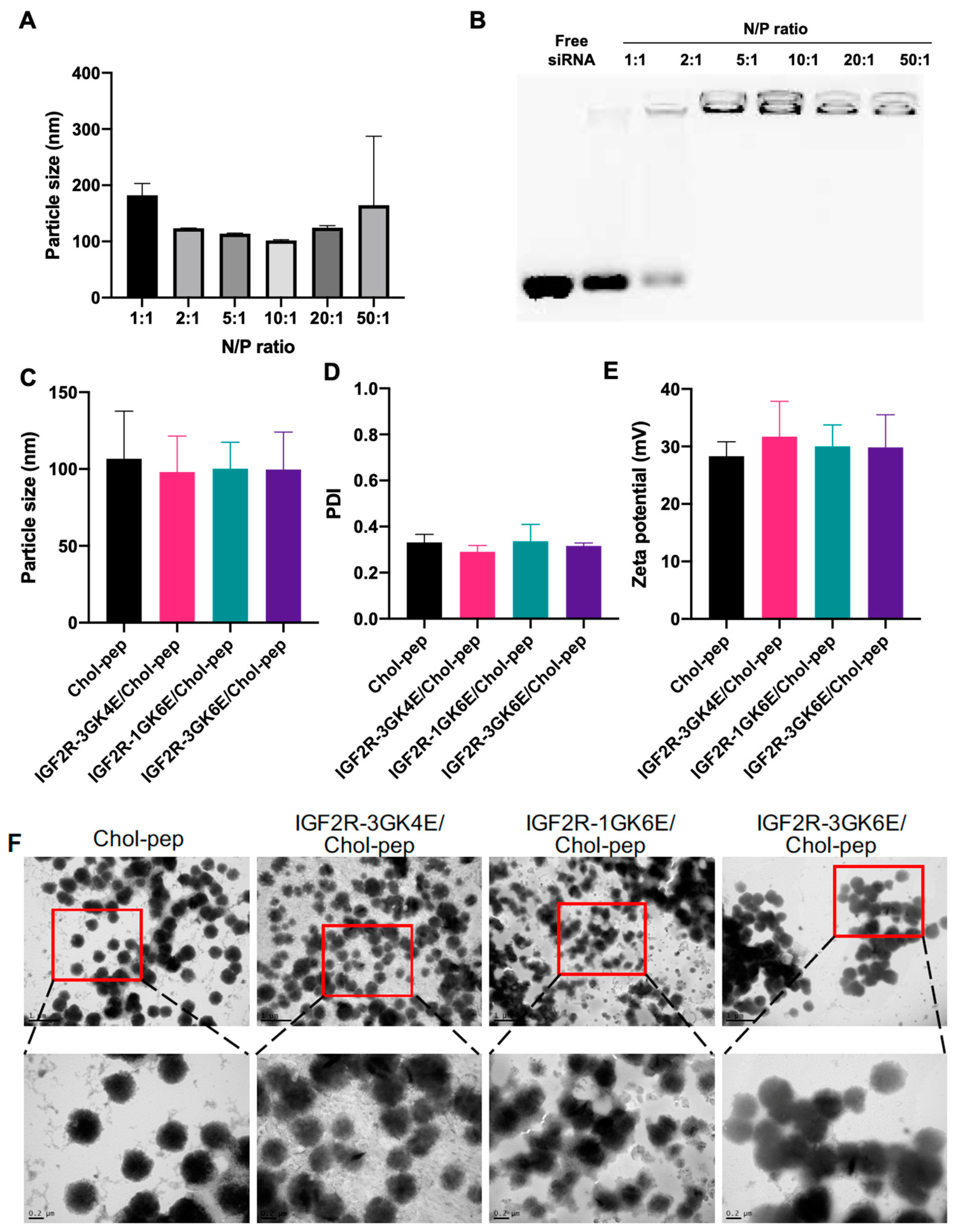 Biomolecules 13 00448 g002 Biomolecules 13 00448 g002