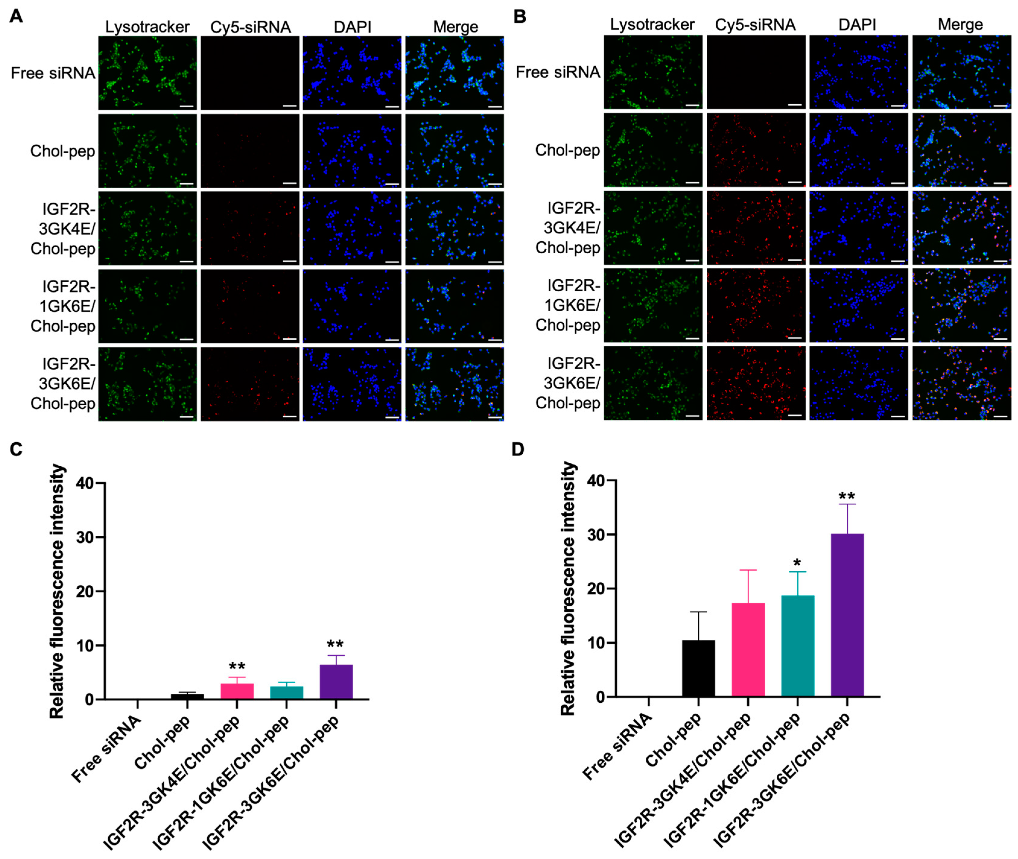 Biomolecules 13 00448 g005 Biomolecules 13 00448 g005