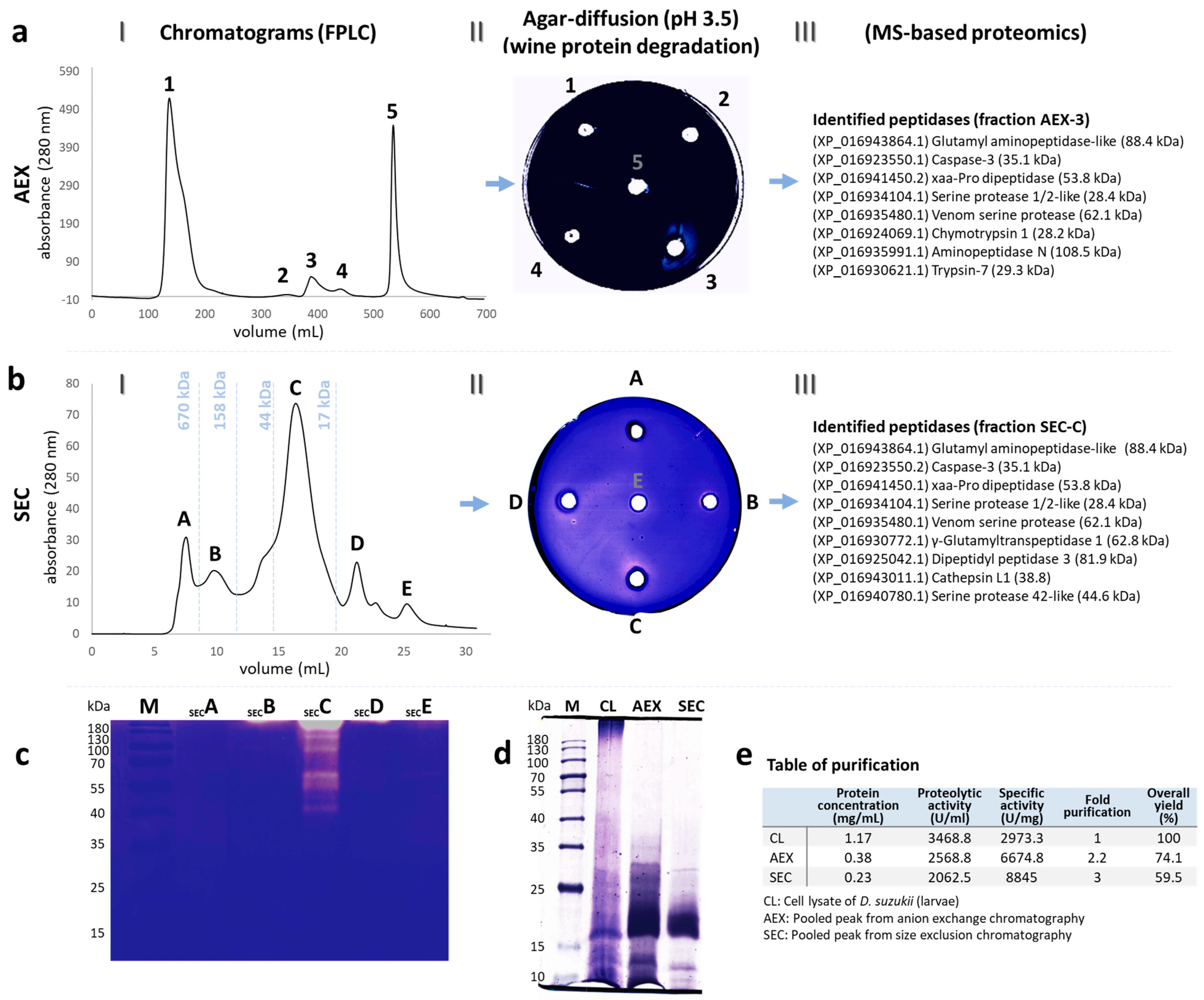 Biomolecules 13 00451 g002