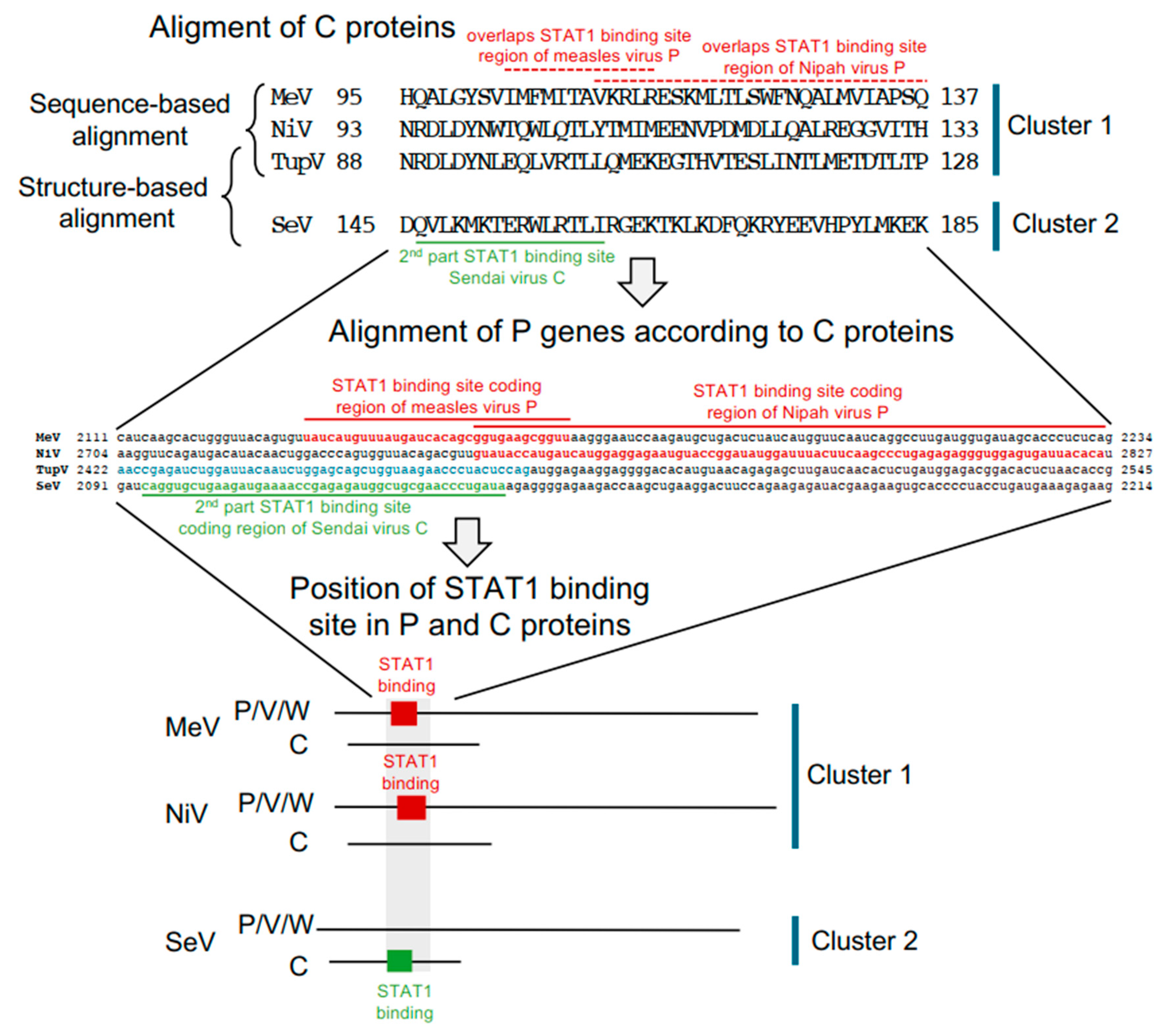 Biomolecules 13 00455 g011