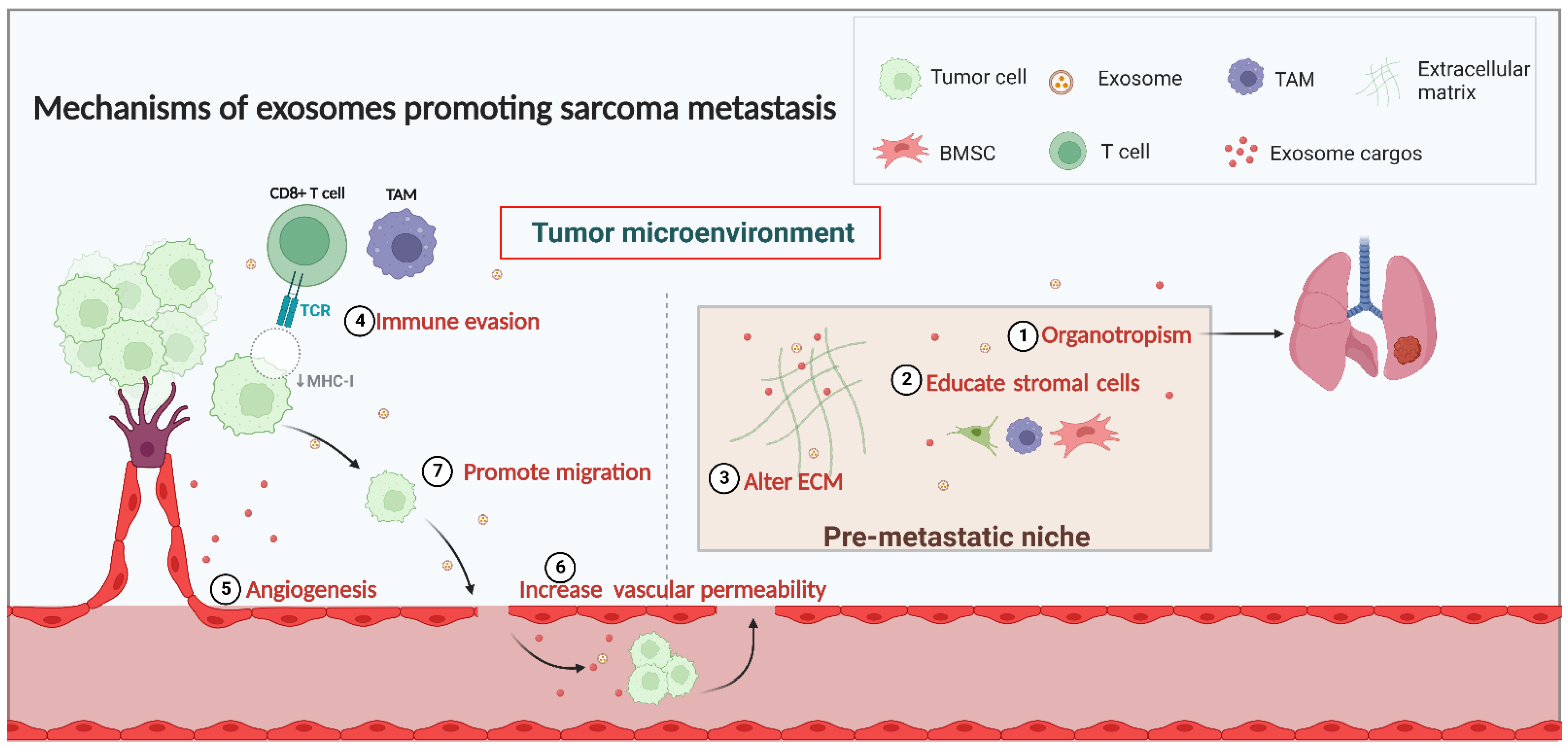 Biomolecules 13 00456 g001 Biomolecules 13 00456 g001