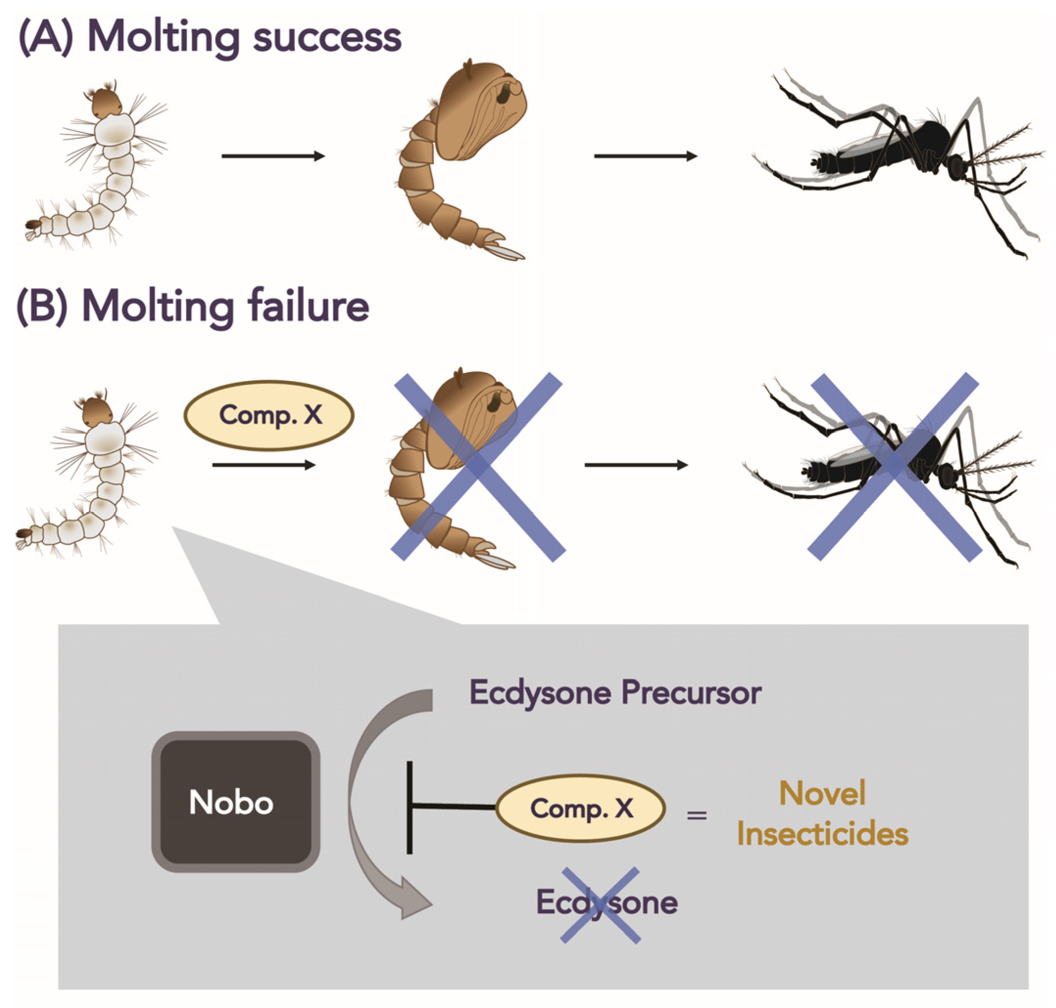 Biomolecules | Free Full-Text | Compounds Inhibiting Noppera-bo, a  Glutathione S-transferase Involved in Insect Ecdysteroid Biosynthesis:  Novel Insect Growth Regulators