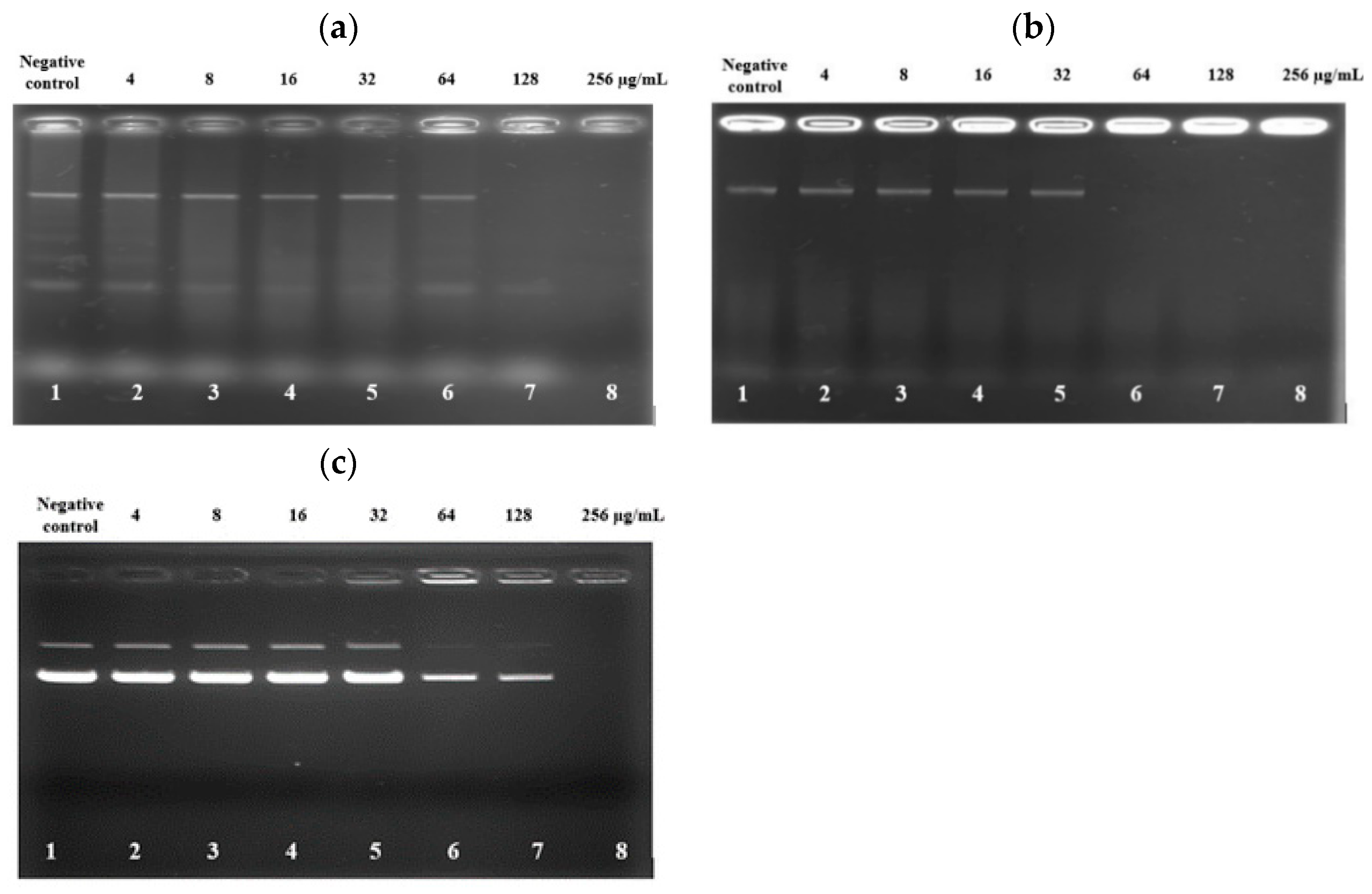 Biomolecules 13 00466 g004