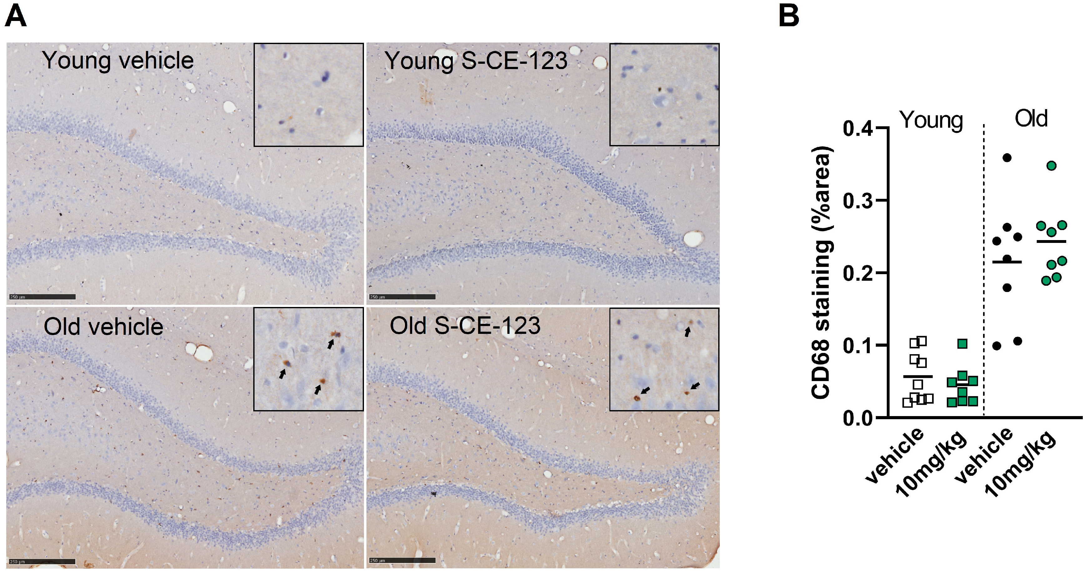 Biomolecules 13 00467 g005 Biomolecules 13 00467 g005