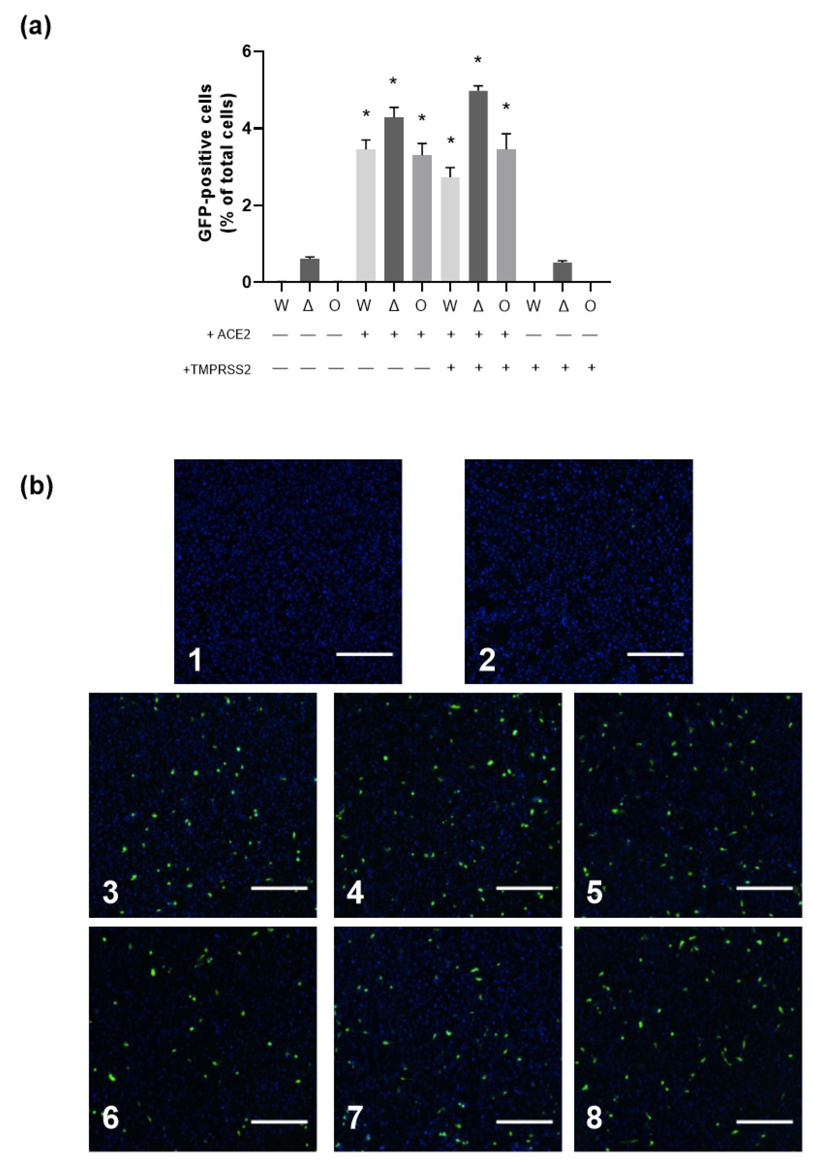 Biomolecules 13 00472 g007 Biomolecules 13 00472 g007