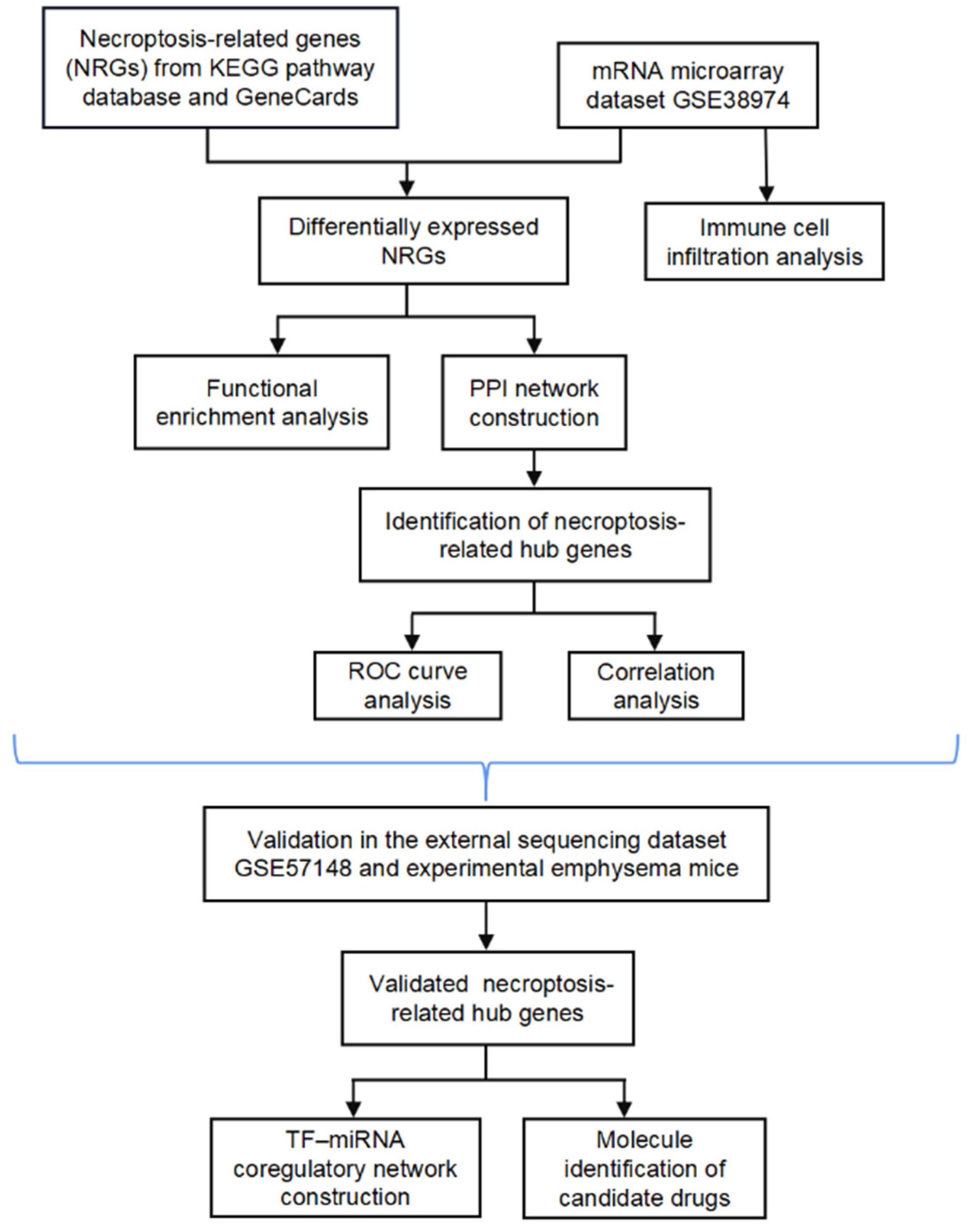 Biomolecules 13 00482 g001 Biomolecules 13 00482 g001