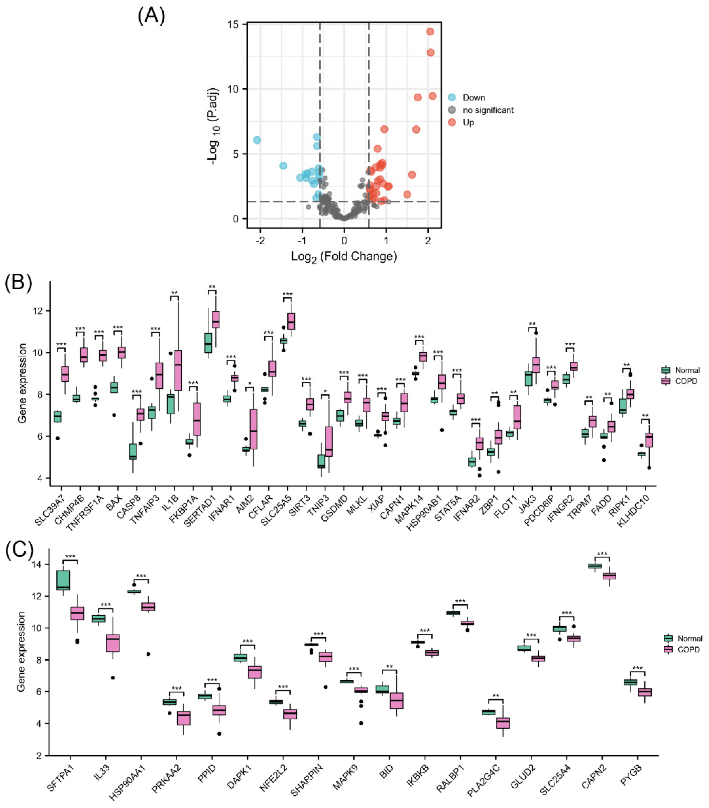 Biomolecules 13 00482 g002 Biomolecules 13 00482 g002
