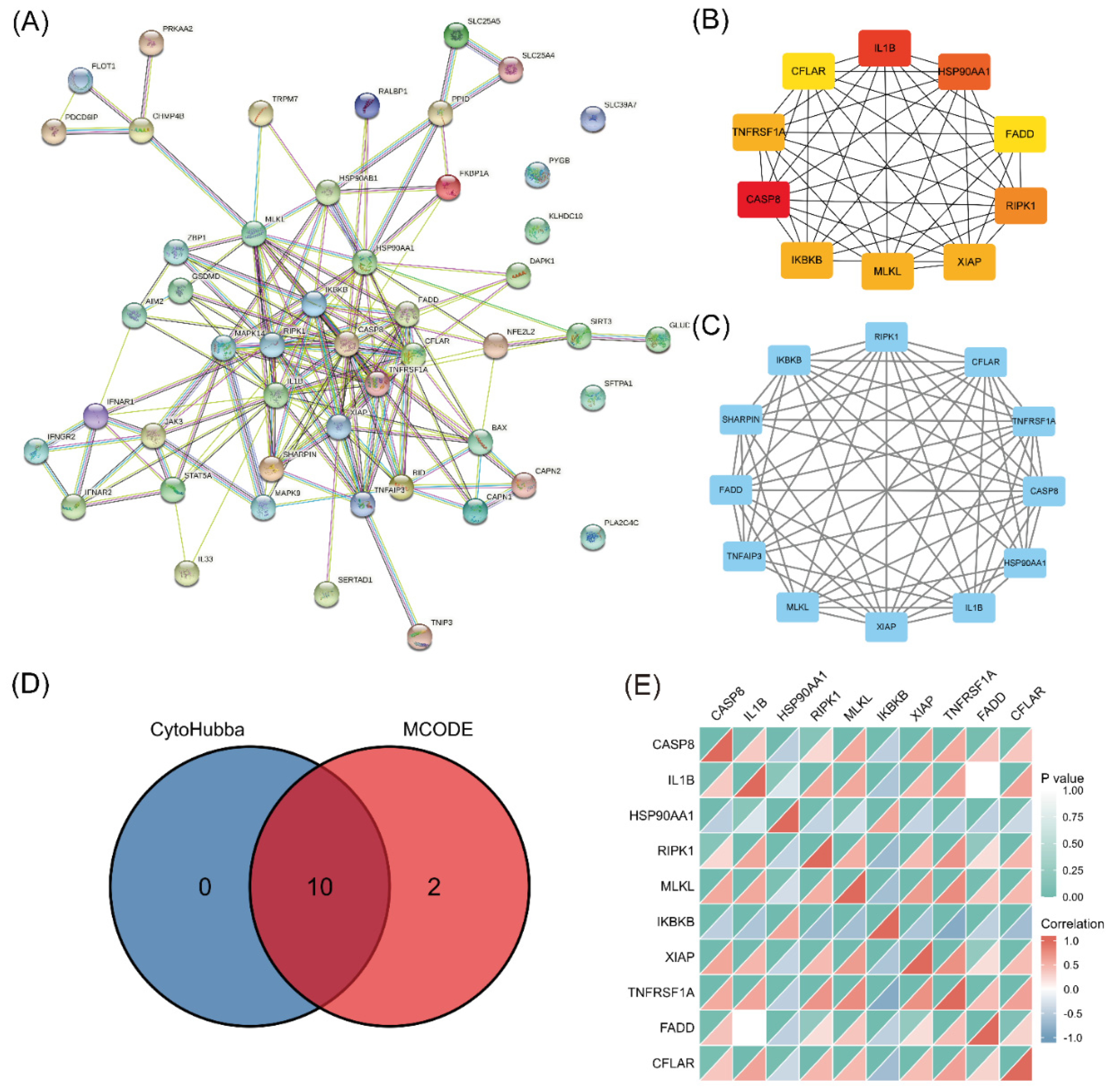 Biomolecules 13 00482 g004 Biomolecules 13 00482 g004