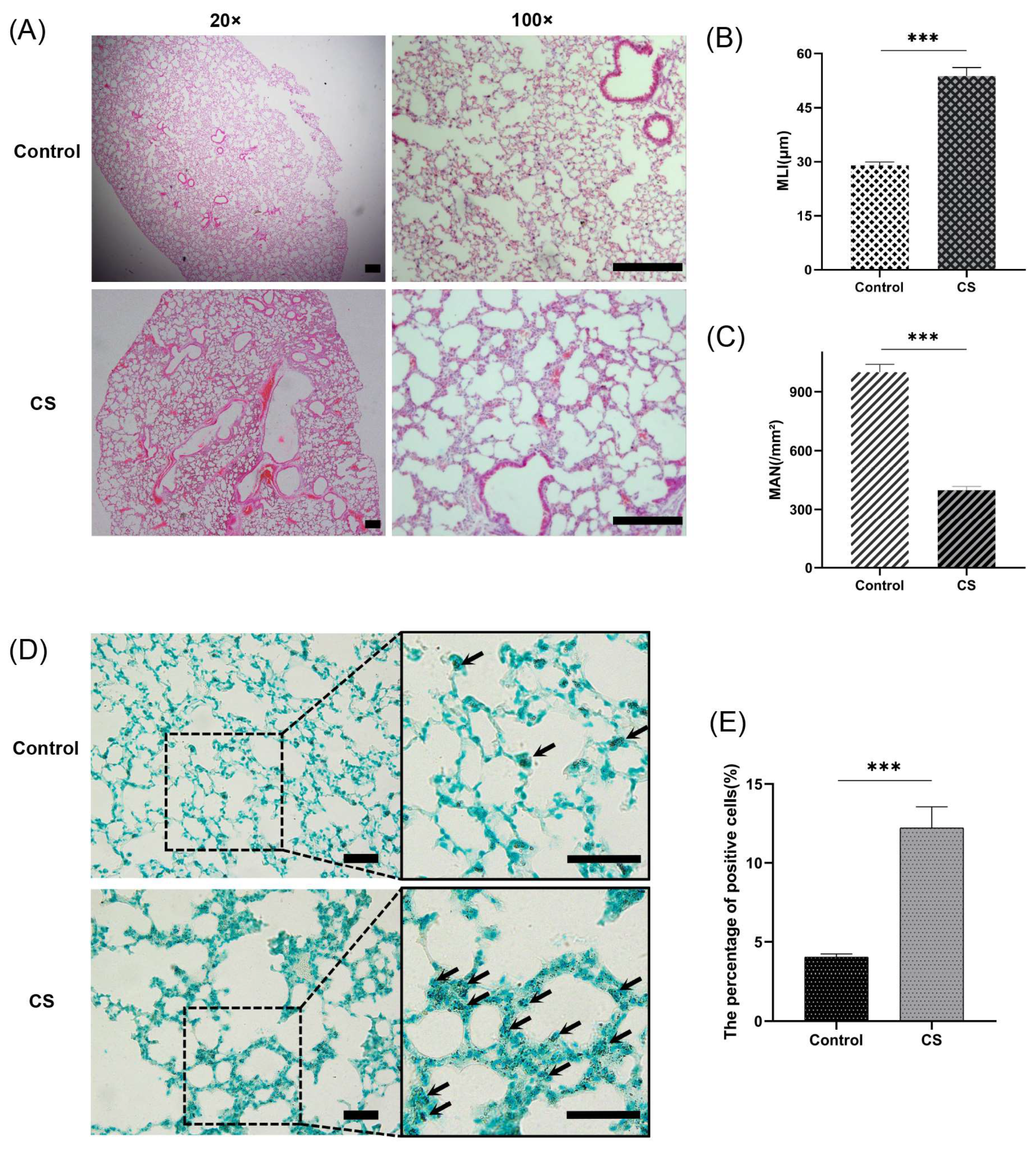 Biomolecules 13 00482 g008 Biomolecules 13 00482 g008