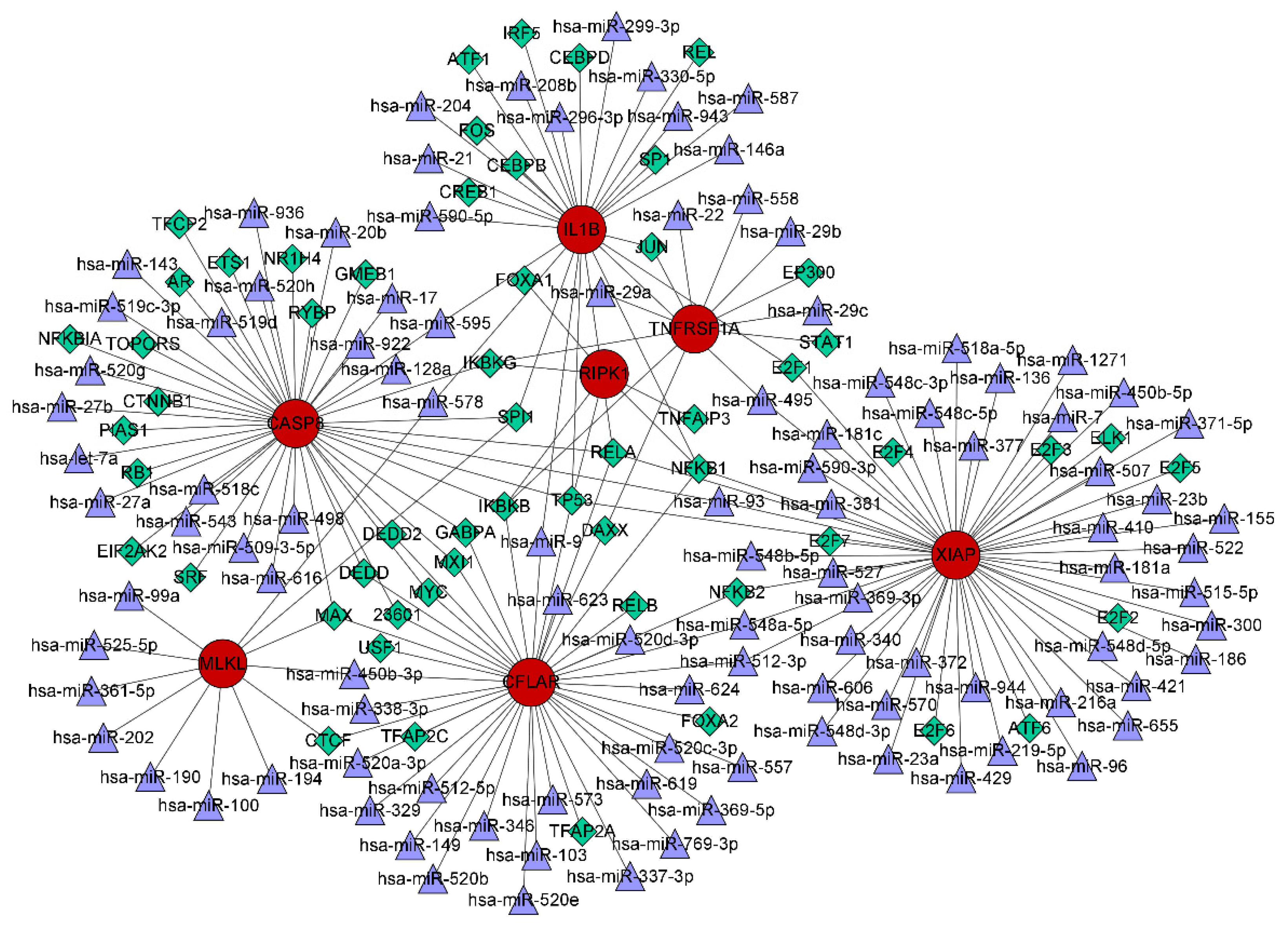Biomolecules 13 00482 g011 Biomolecules 13 00482 g011