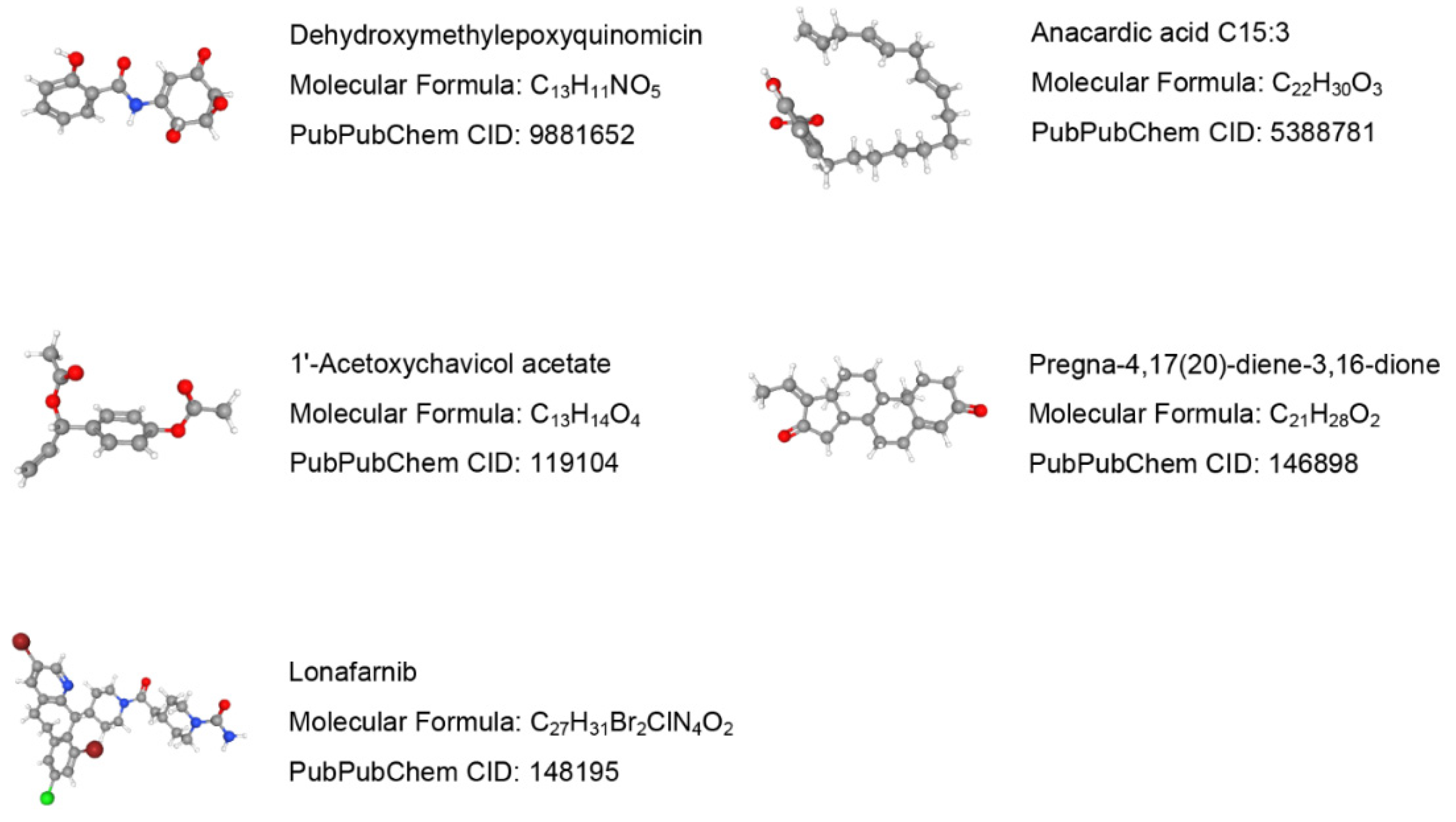 Biomolecules 13 00482 g012 Biomolecules 13 00482 g012