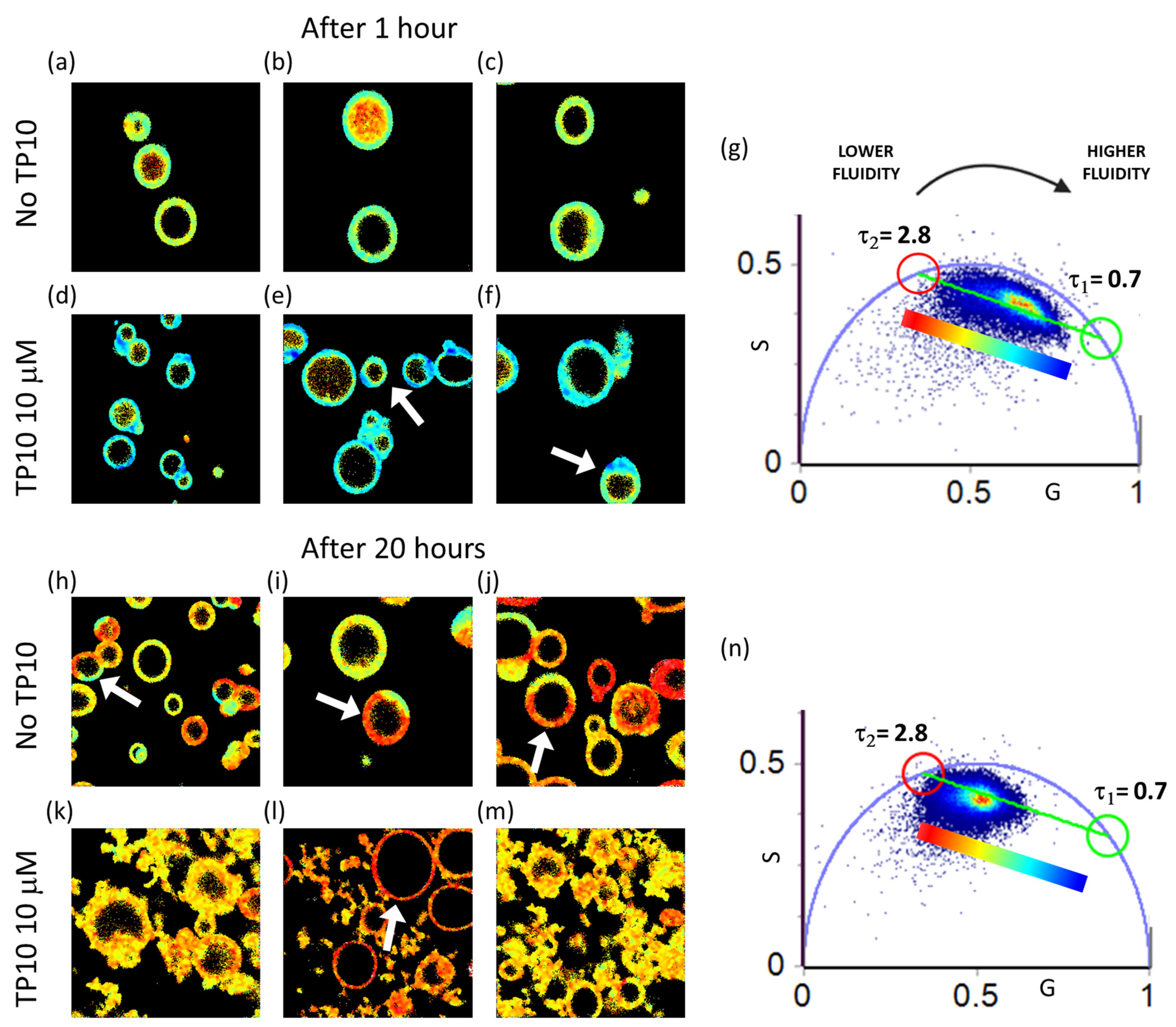 Biomolecules 13 00492 g005 Biomolecules 13 00492 g005