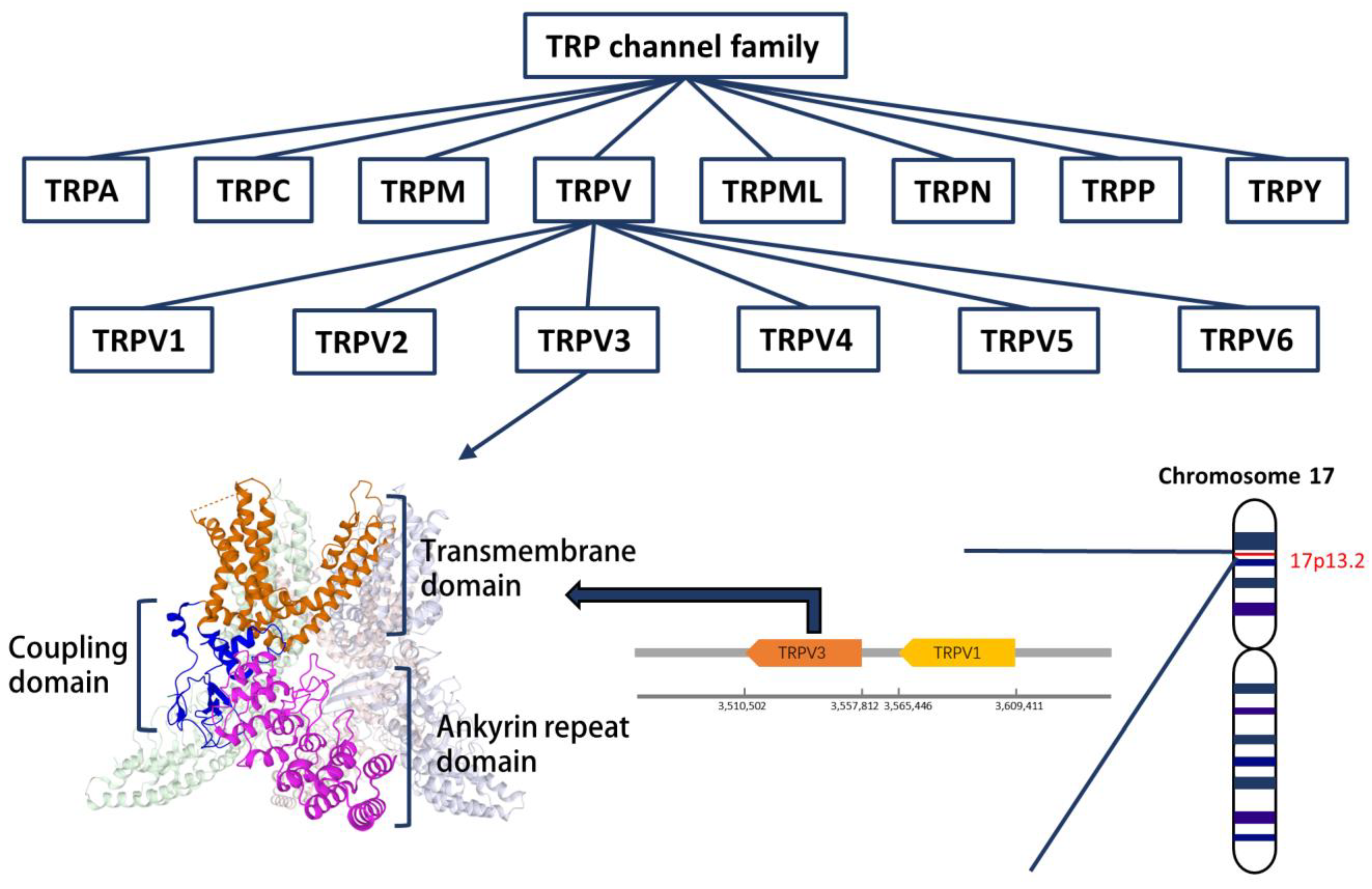 Biomolecules 13 00513 g001 Biomolecules 13 00513 g001