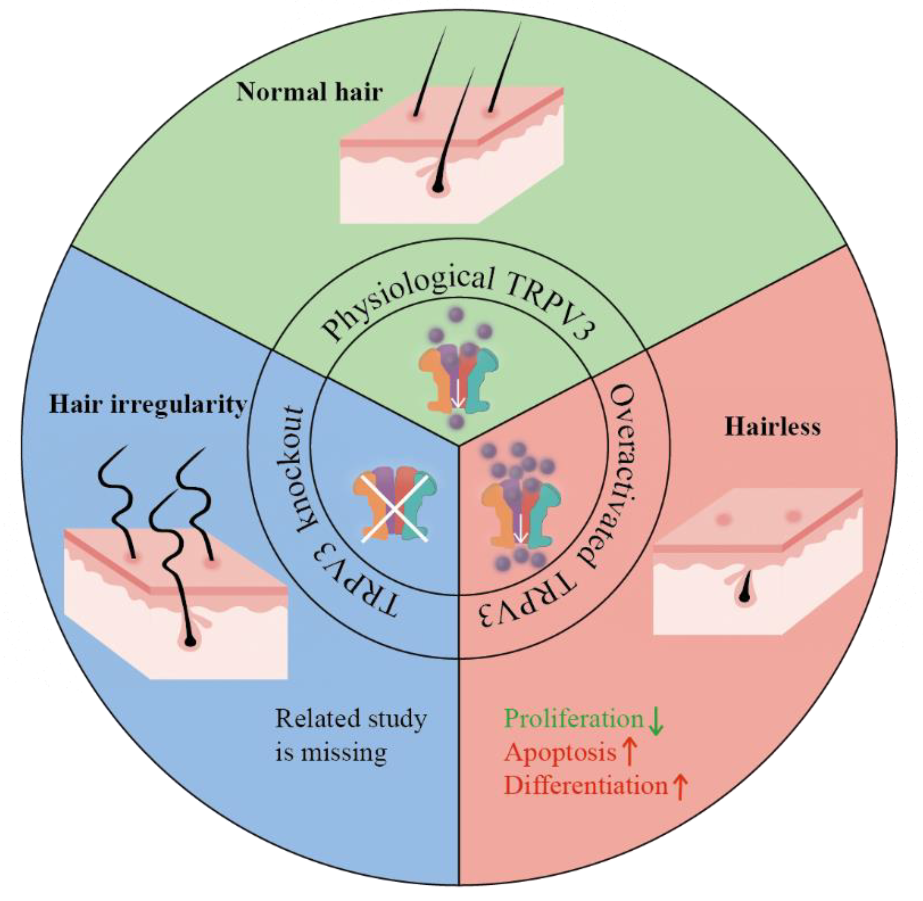 Biomolecules 13 00513 g003 Biomolecules 13 00513 g003