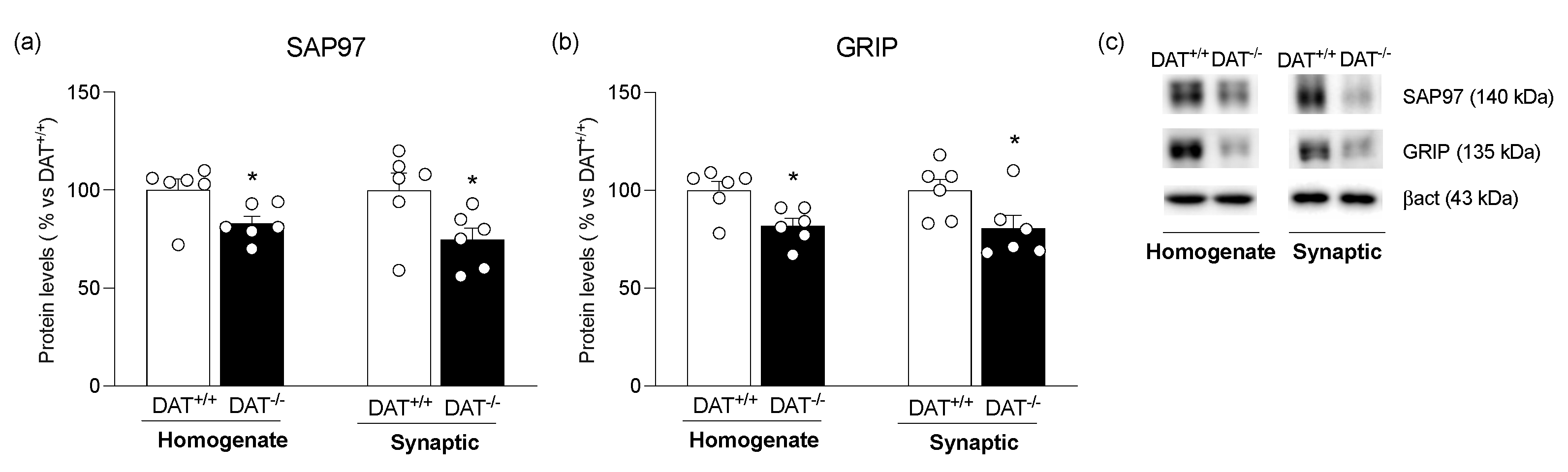 Biomolecules 13 00516 g003 Biomolecules 13 00516 g003