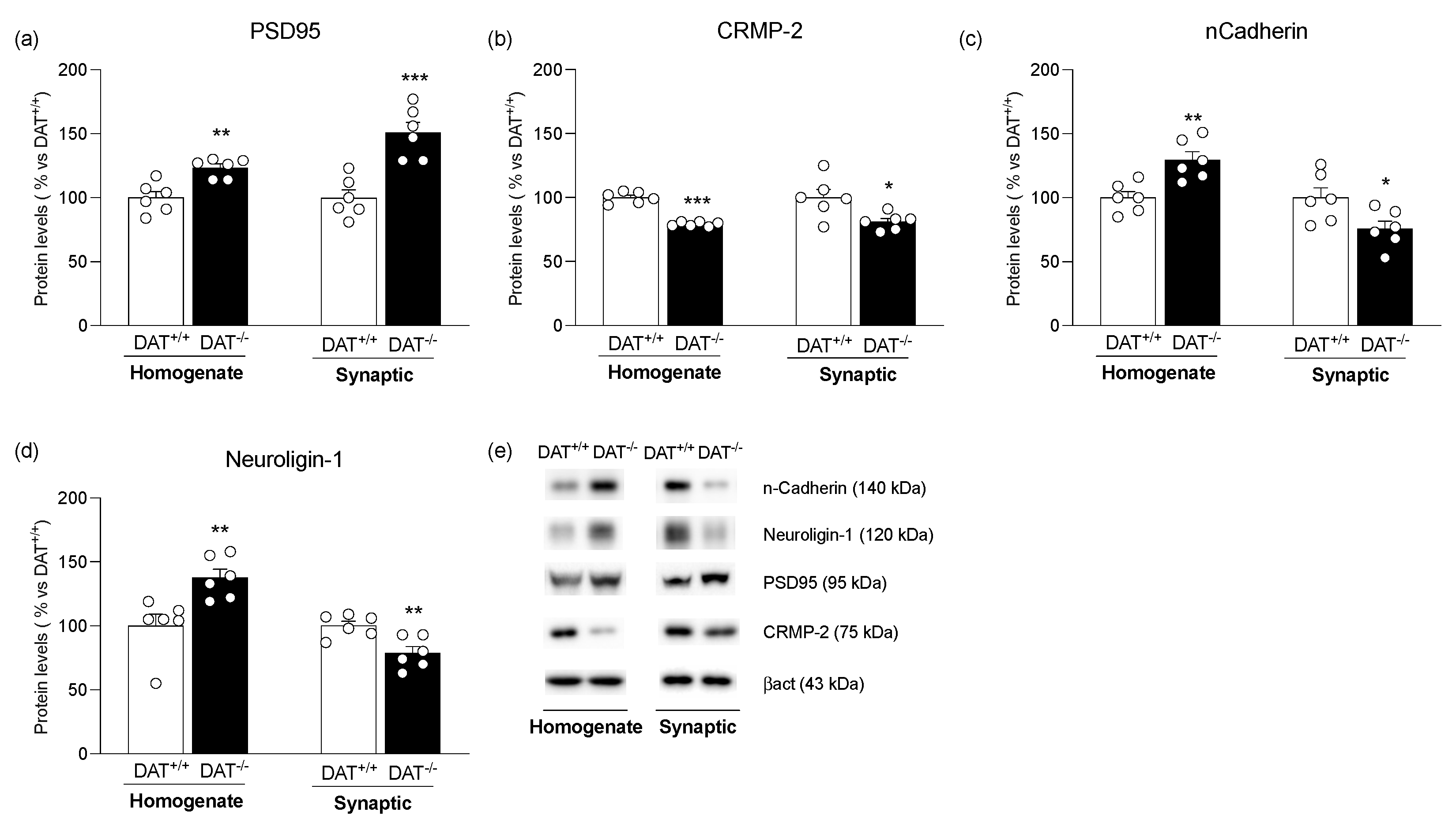 Biomolecules 13 00516 g005 Biomolecules 13 00516 g005