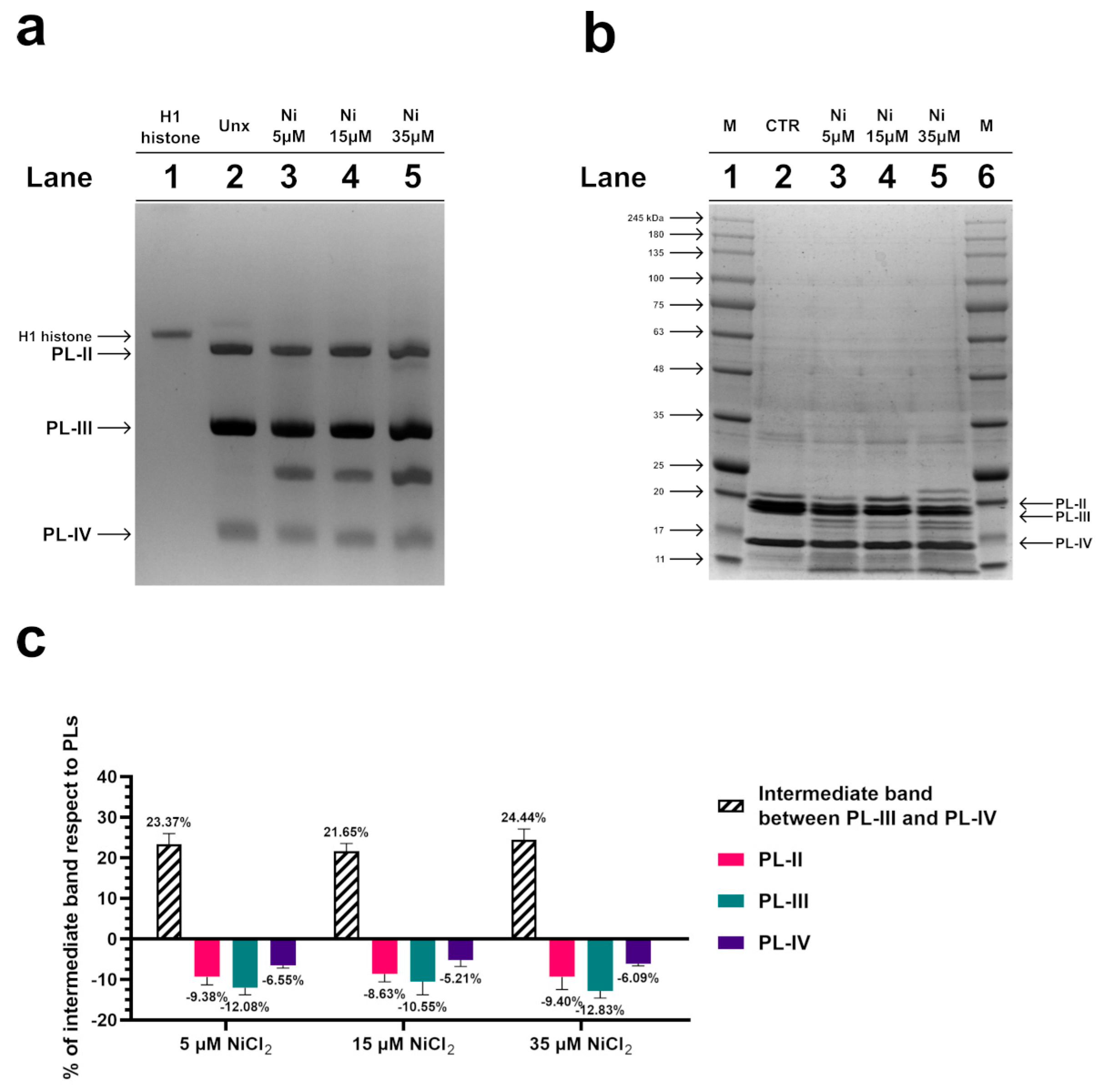 Biomolecules 13 00520 g002