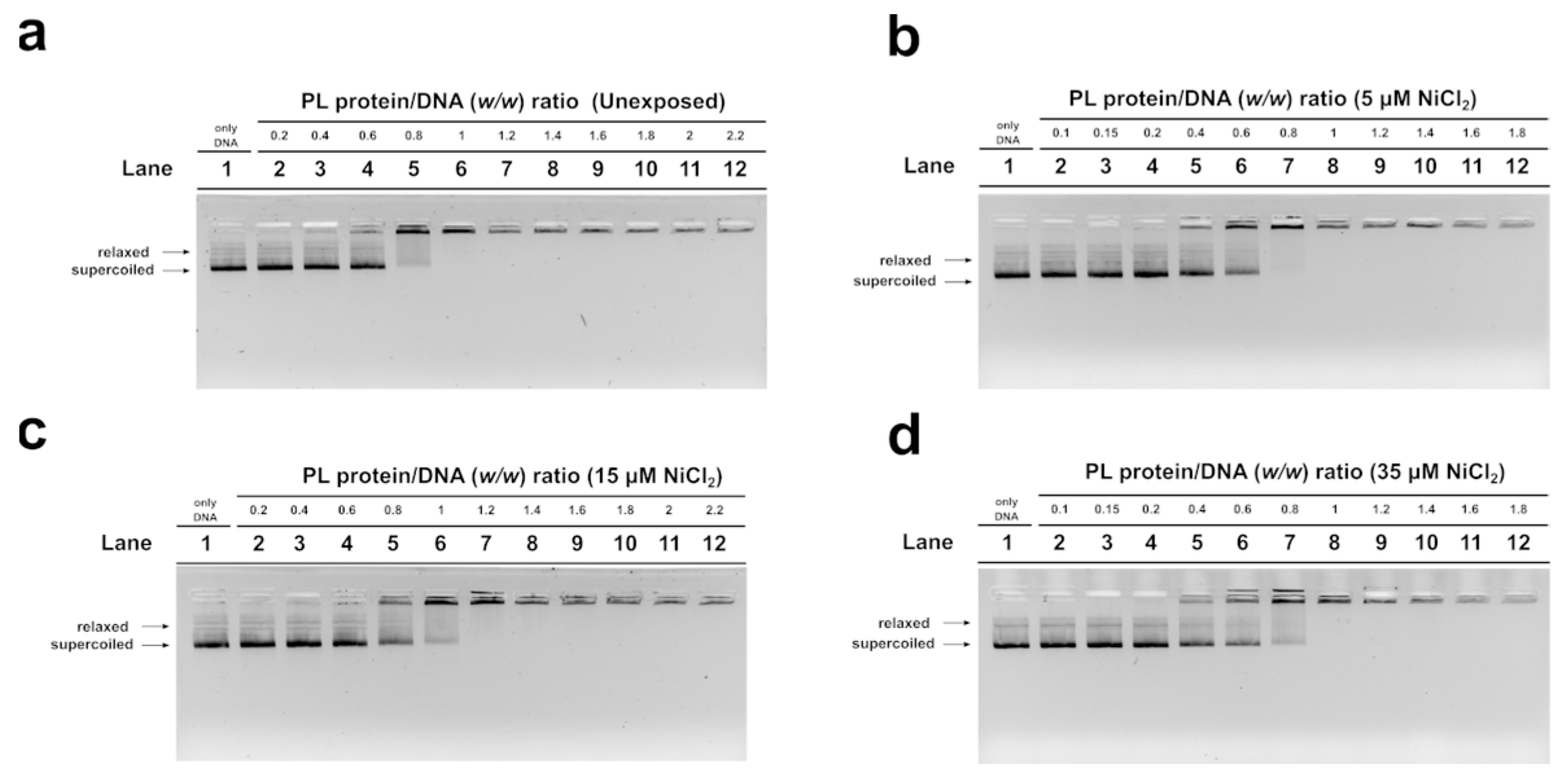 Biomolecules 13 00520 g003