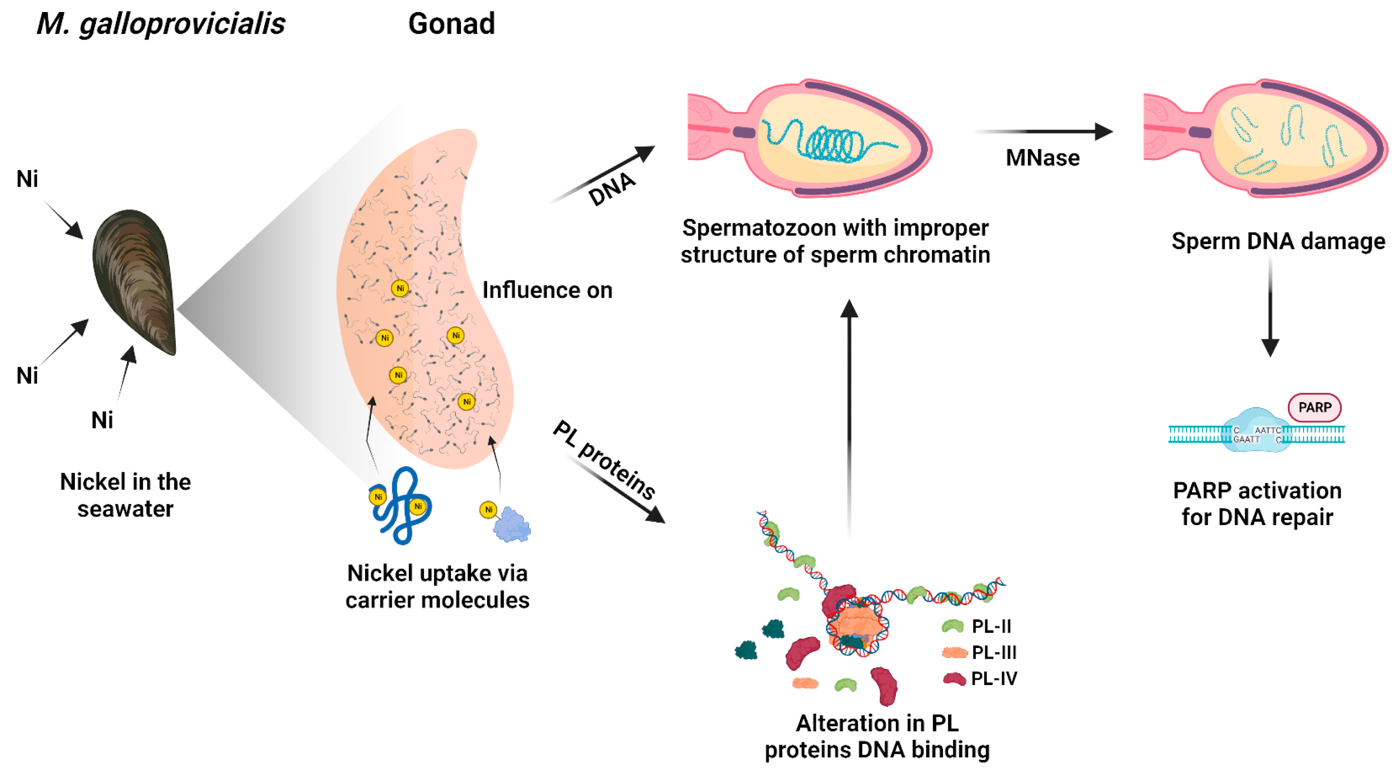Biomolecules 13 00520 g007