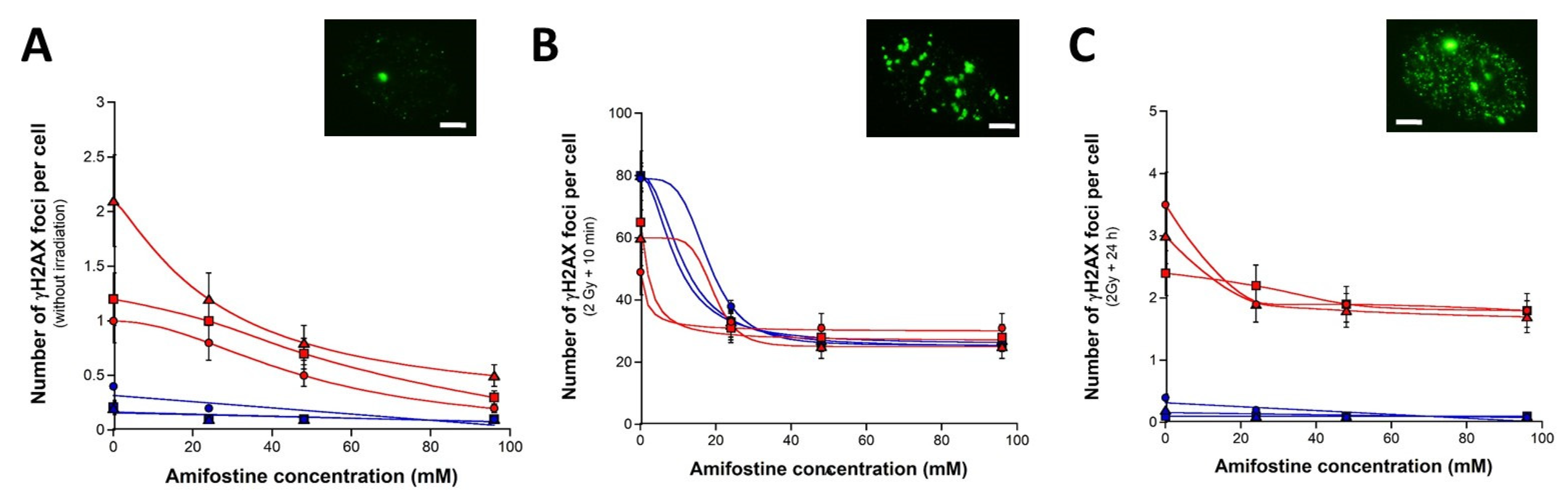 Biomolecules 13 00524 g003 Biomolecules 13 00524 g003